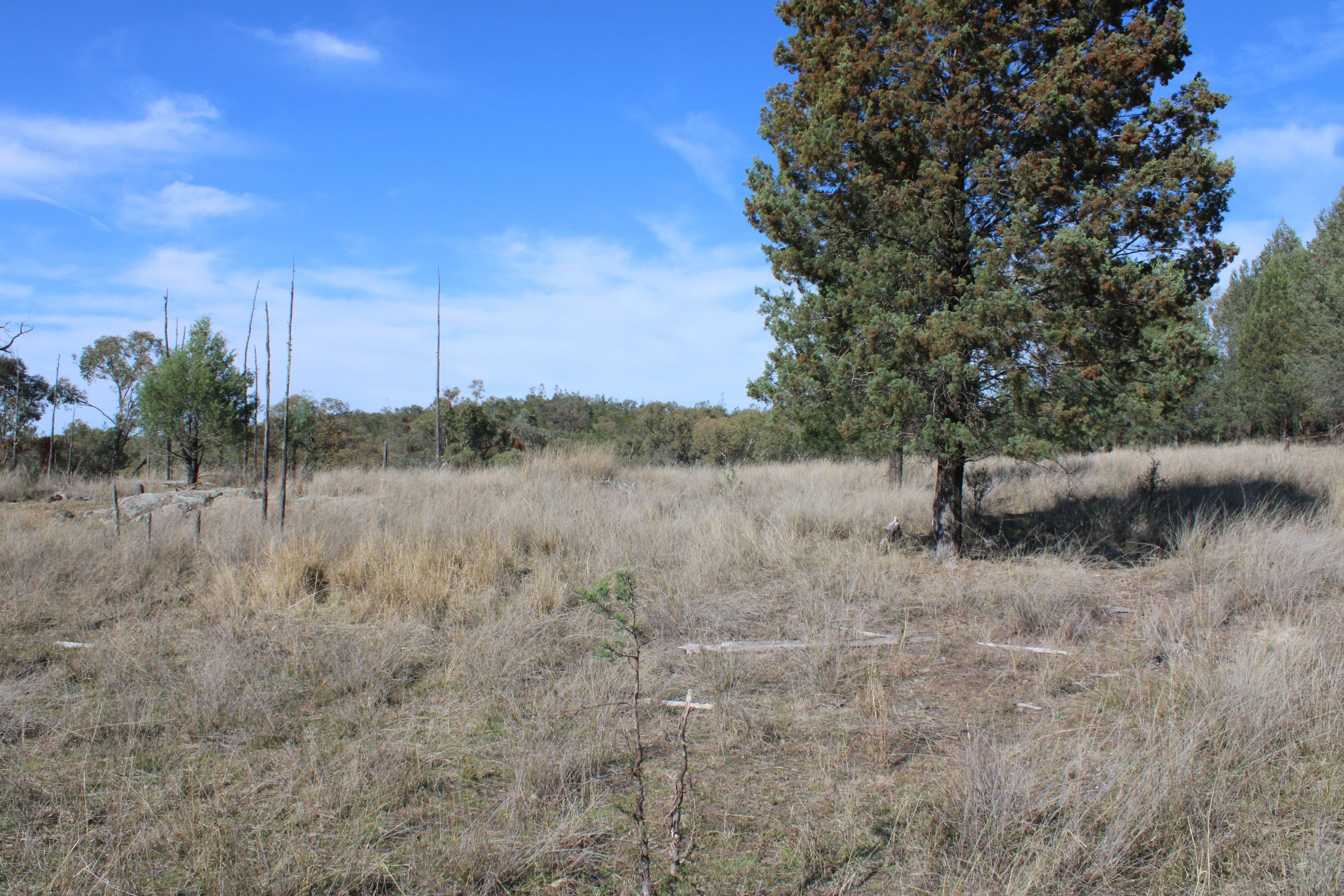 Inverell NSW 2360, Inverell - Thumbnail 2