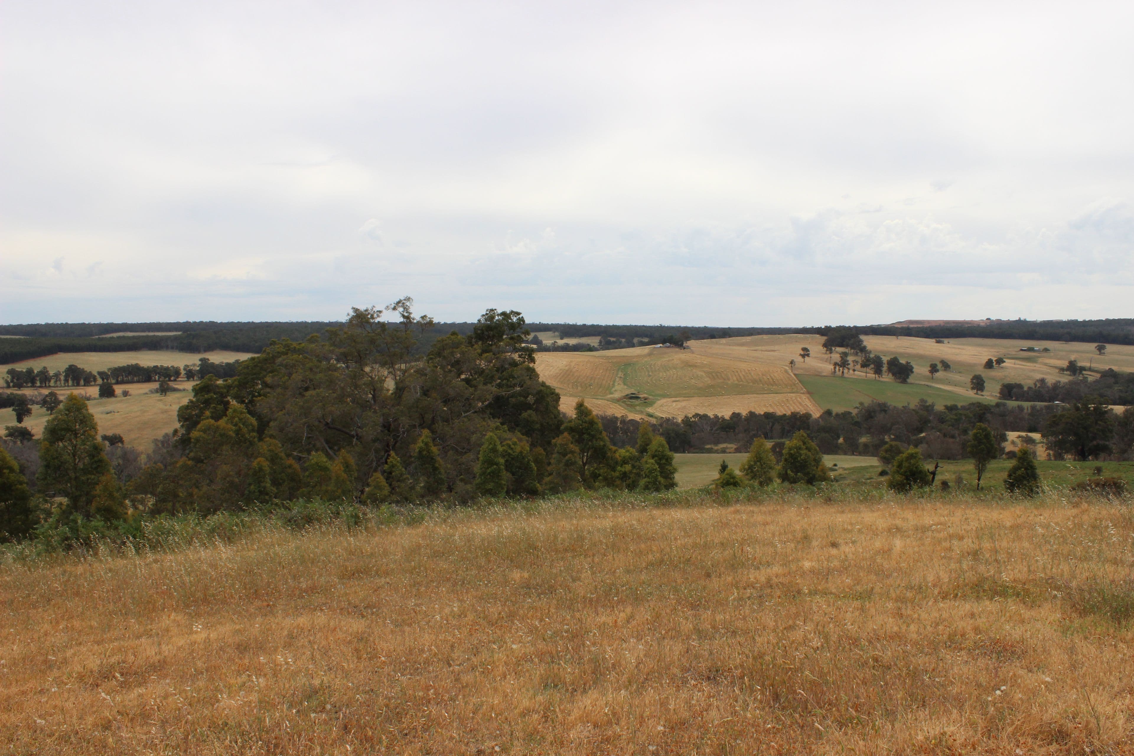 Bridgetown WA 6255, Bridgetown - Thumbnail 2