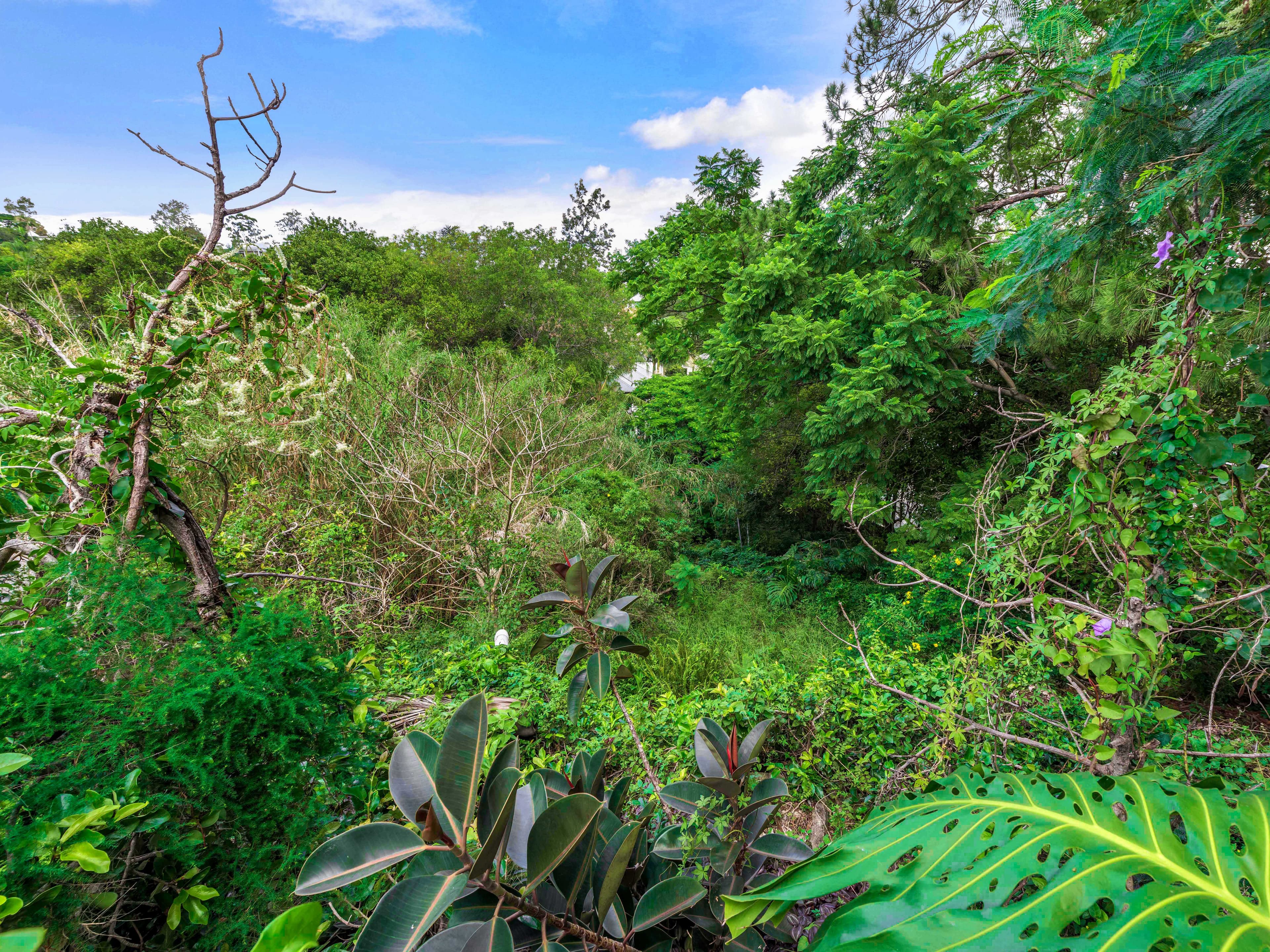 38 Arthur Terrace, Red Hill QLD 4059, Red Hill - Thumbnail 8