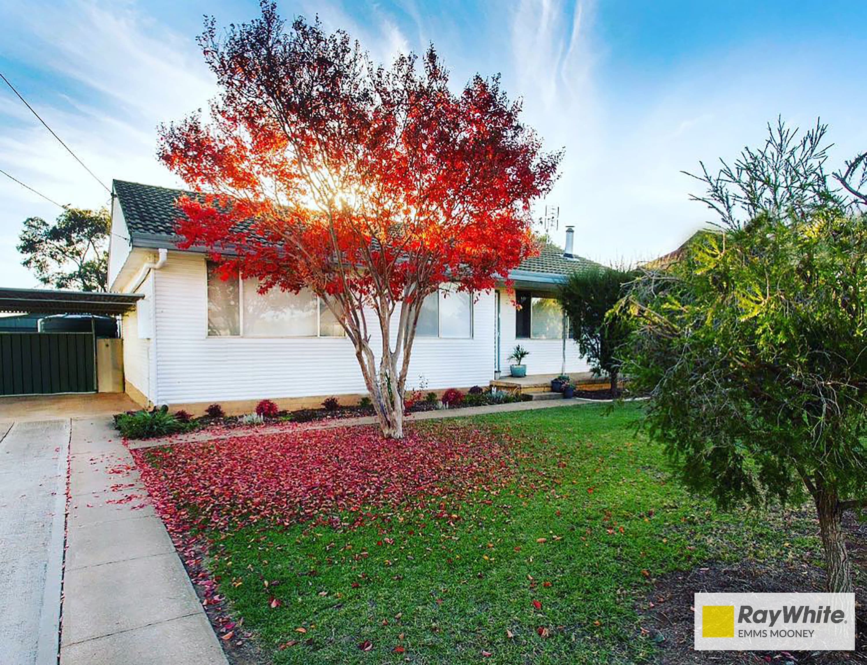 20 Watt Street, Cowra - Image 1