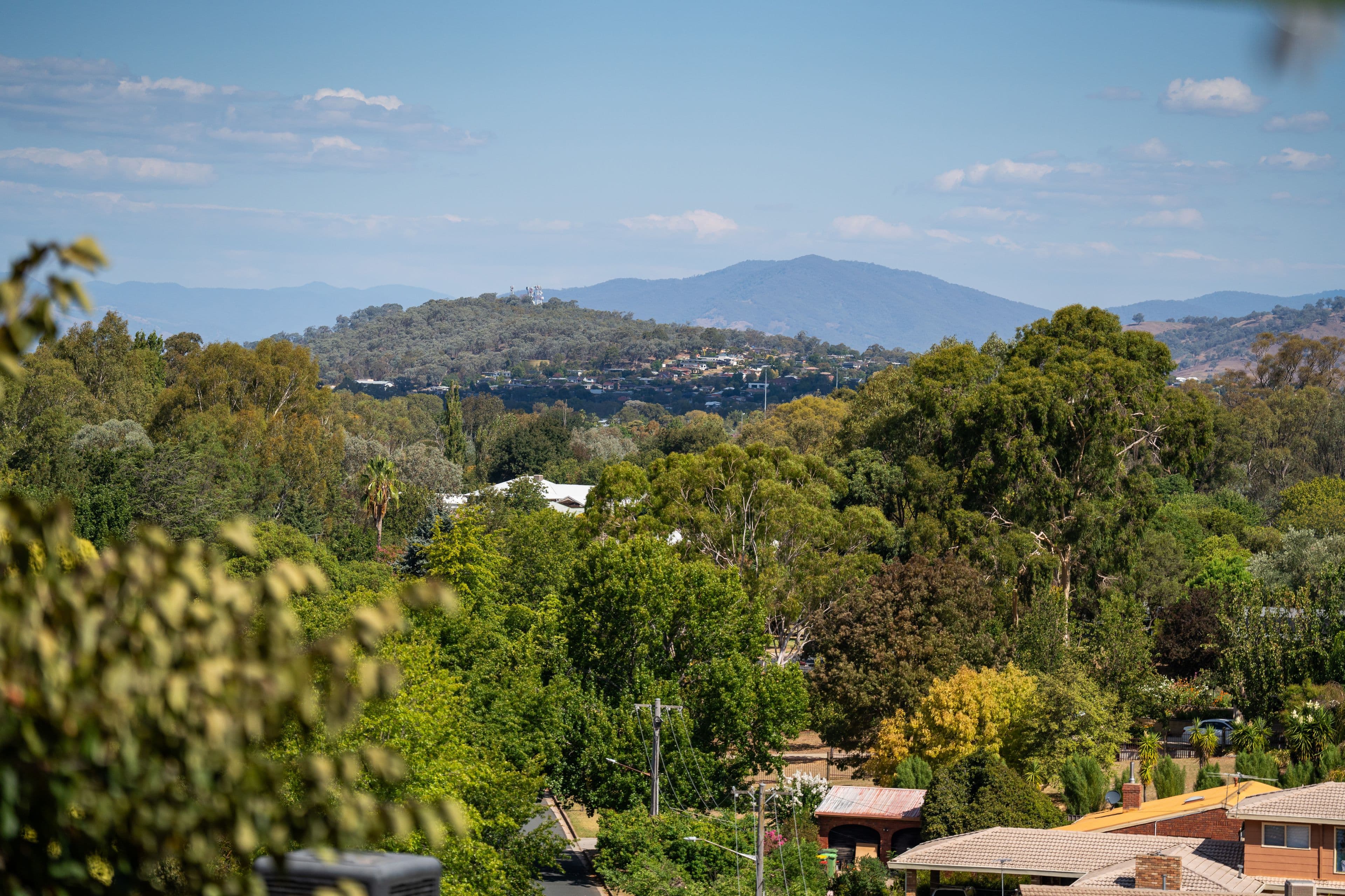 35 Janette Court, Lavington NSW 2641, Lavington - Thumbnail 8