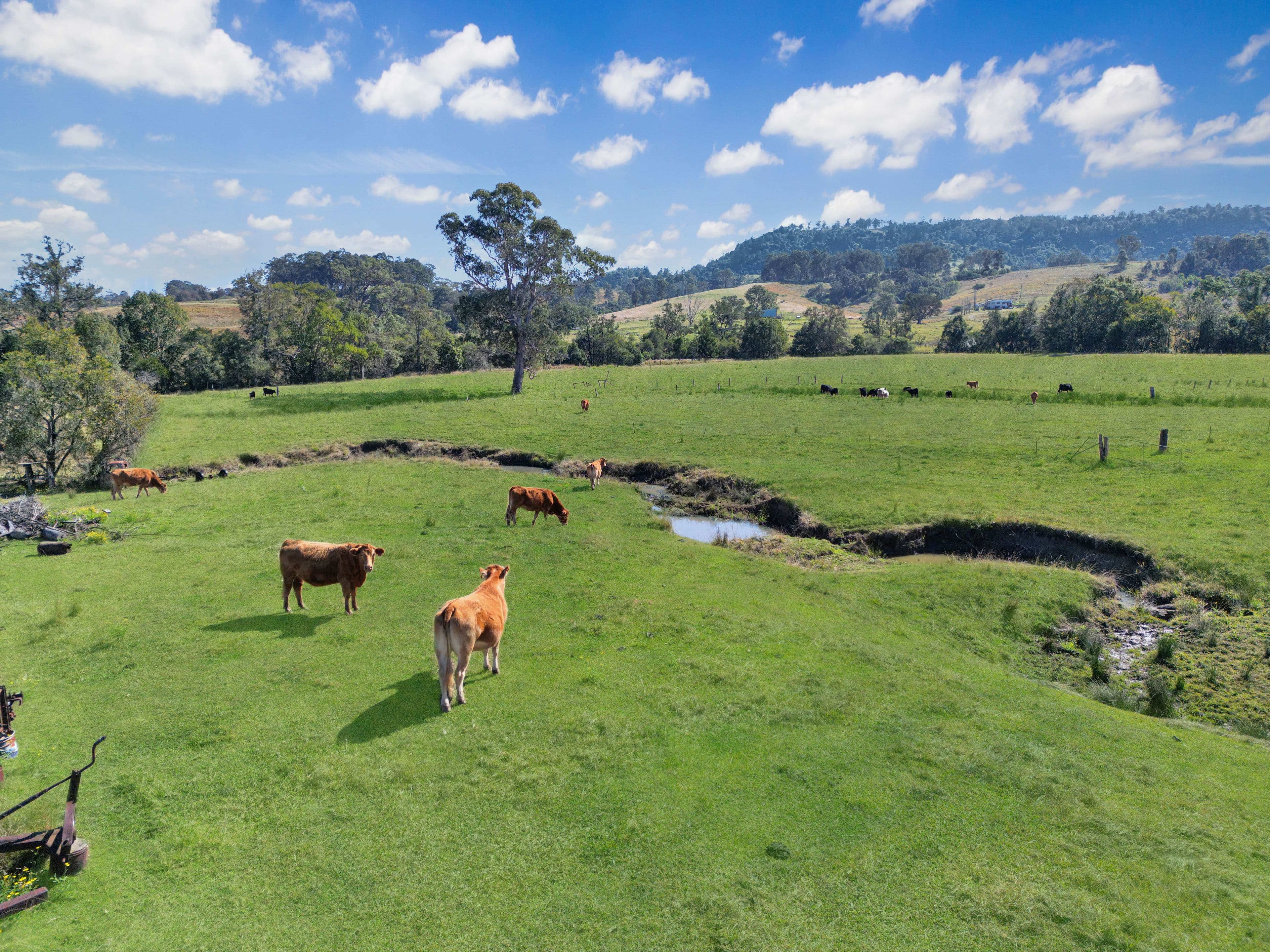 46 Tabulam Road, Bottle Creek NSW 2469, Bottle Creek - Thumbnail 5