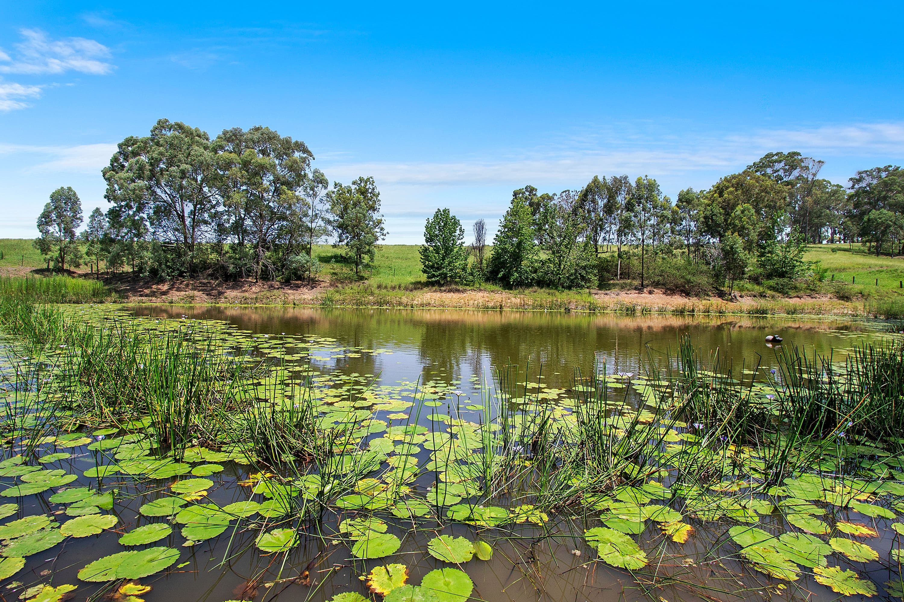 16 - 42 Gadds Lane, Kurmond NSW 2757, Kurmond - Thumbnail 3