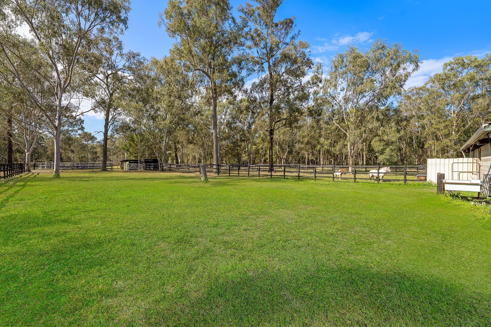 83 Fountain Road, Burpengary East QLD 4505, Burpengary East - Thumbnail 5