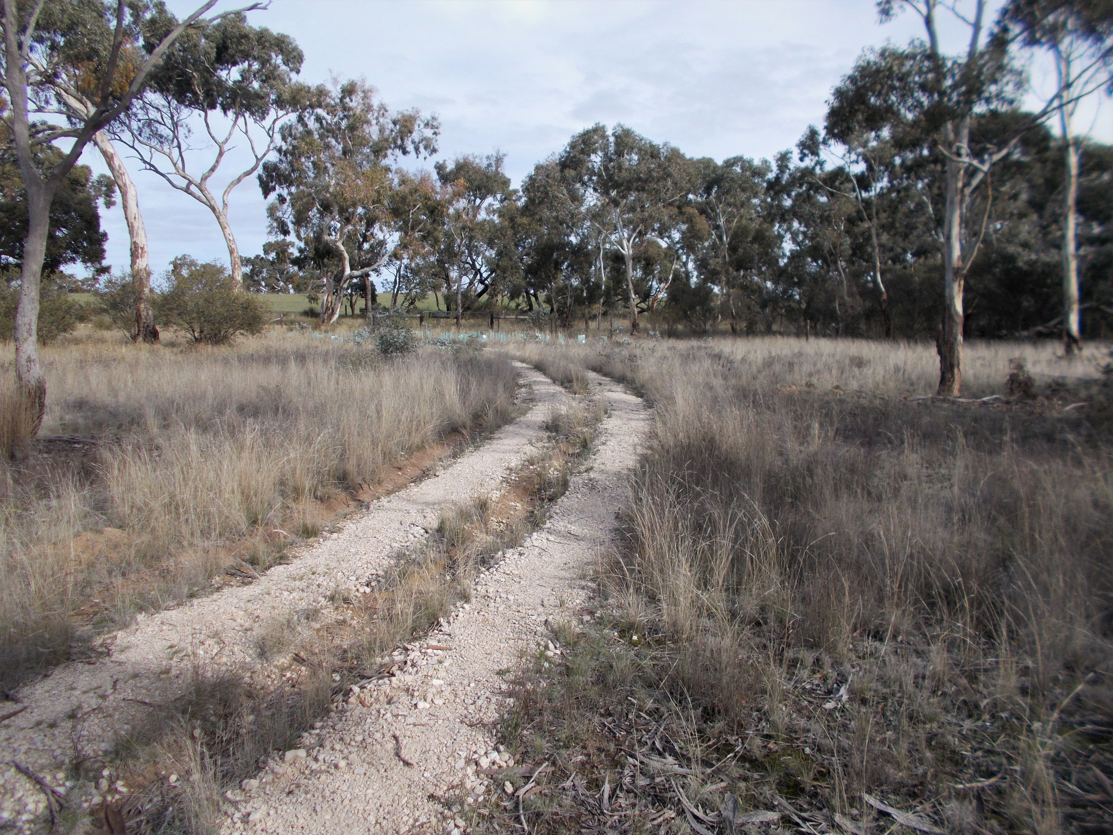 Lot 101 Dunstall Road, Bordertown South SA 5268, Bordertown South - Thumbnail 2