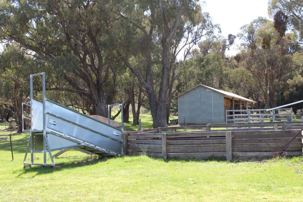 203 Schumachers Road, Triangle Flat NSW 2795, Triangle Flat - Thumbnail 8