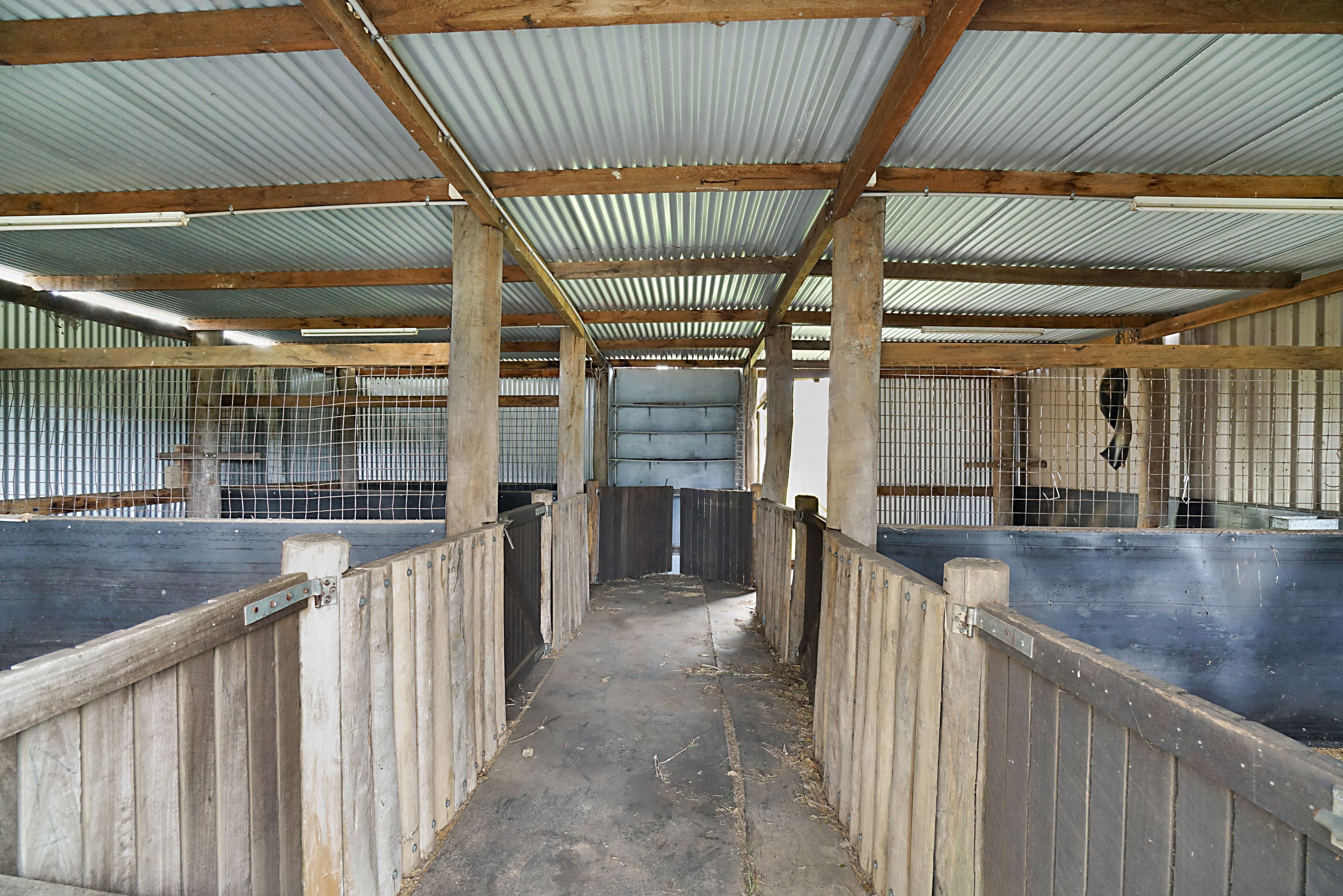 38 Browns Road, Mandalong NSW 2264, Mandalong - Thumbnail 8