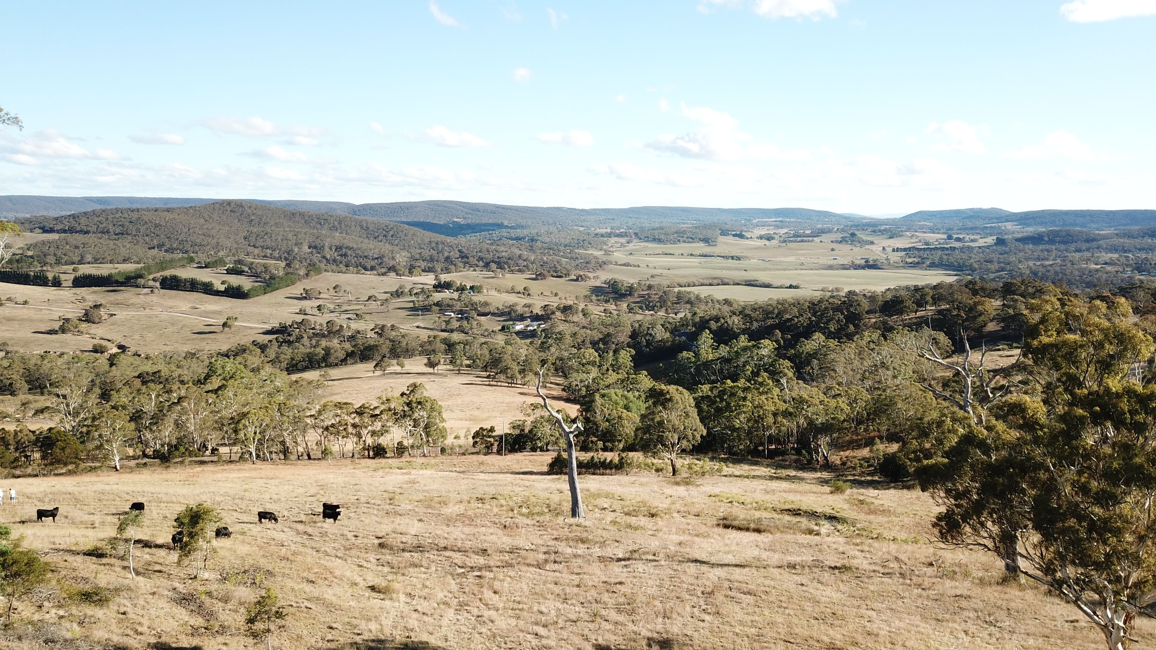 2071 Taralga Road, Goulburn NSW 2580, Goulburn - Image 1
