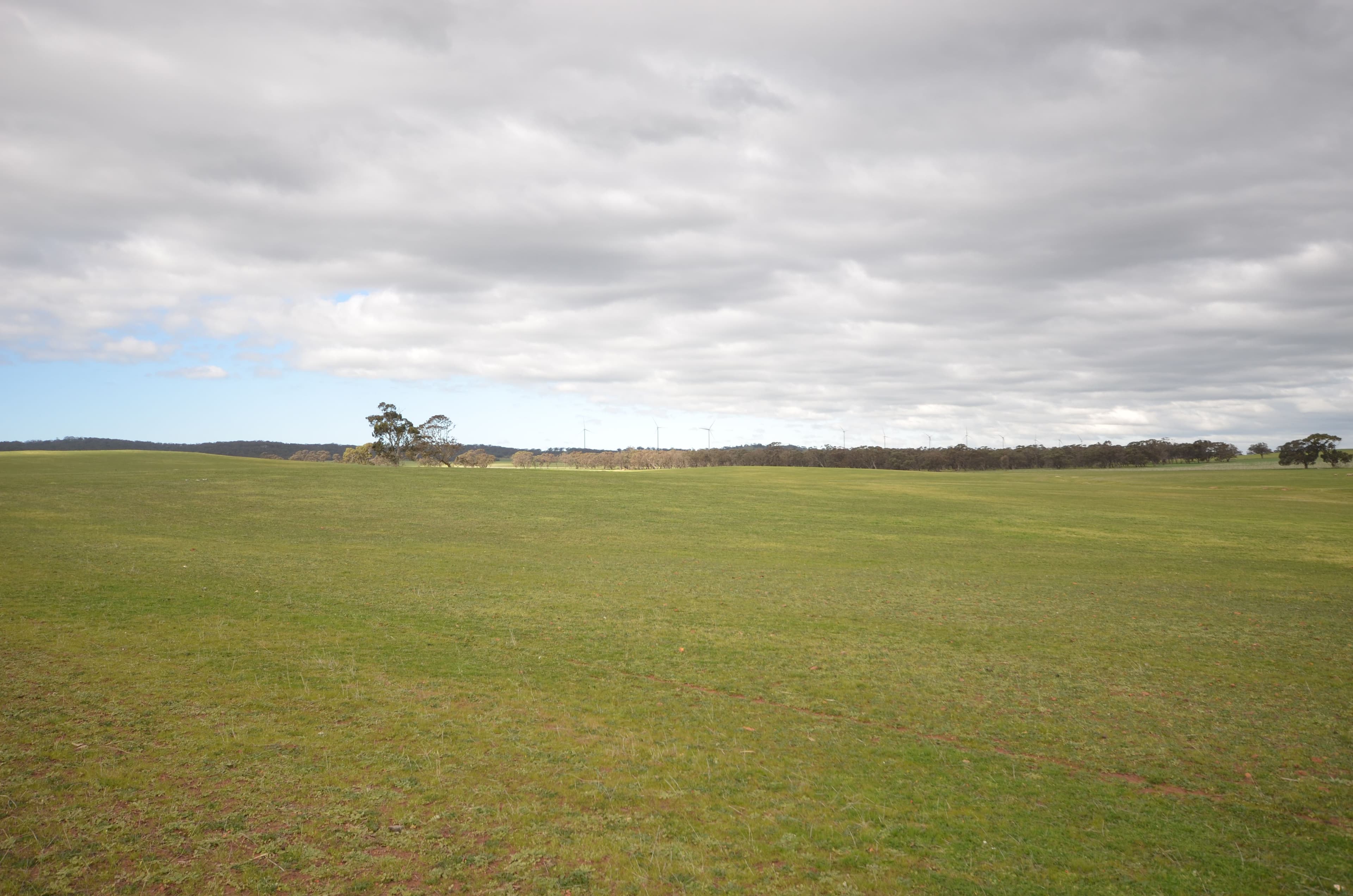 Felwake Main Road, Waterloo SA 5413, Waterloo - Thumbnail 5