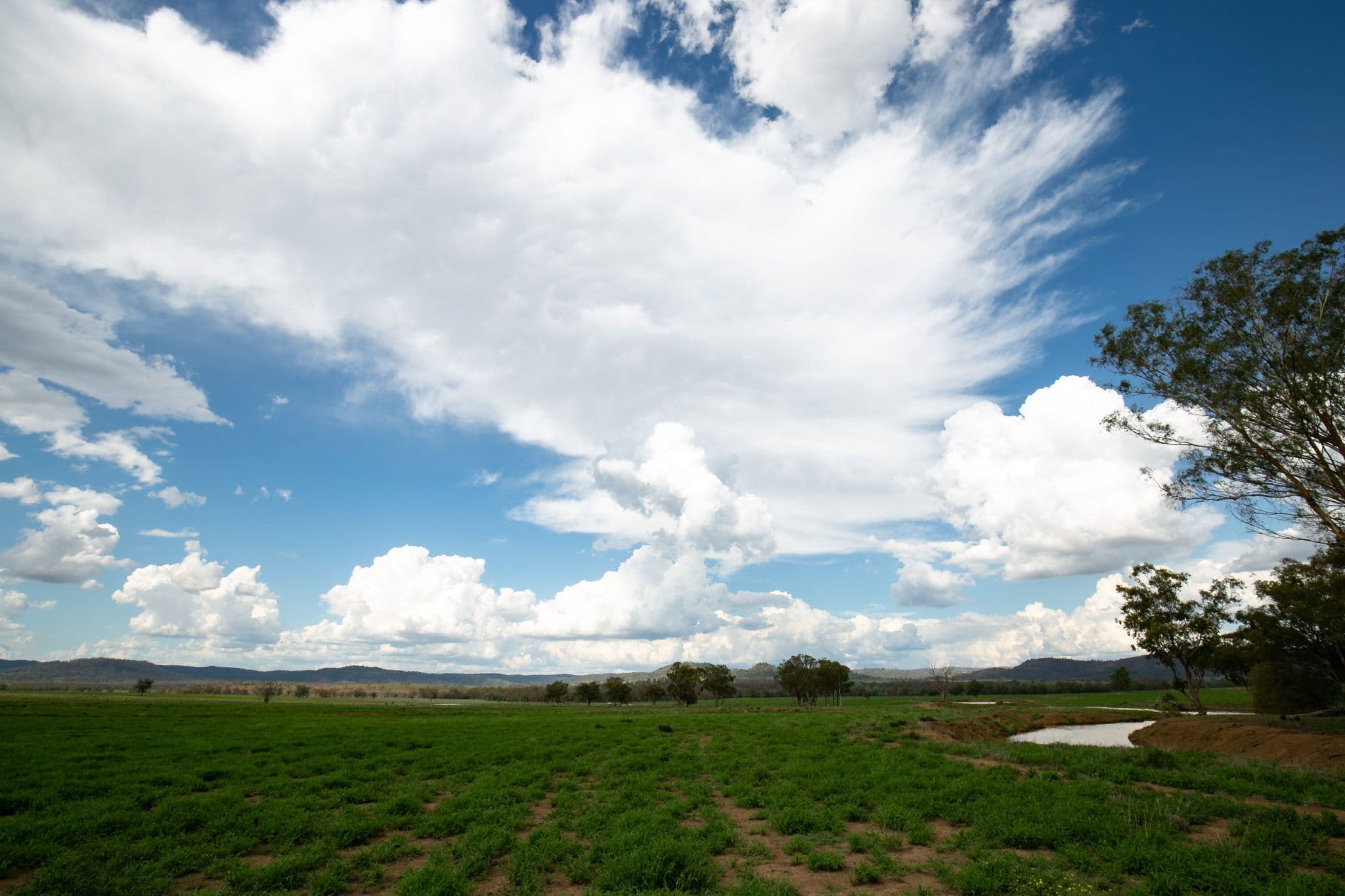 8321 Killarney Gap Road, Pallal NSW 2404, Pallal - Thumbnail 6