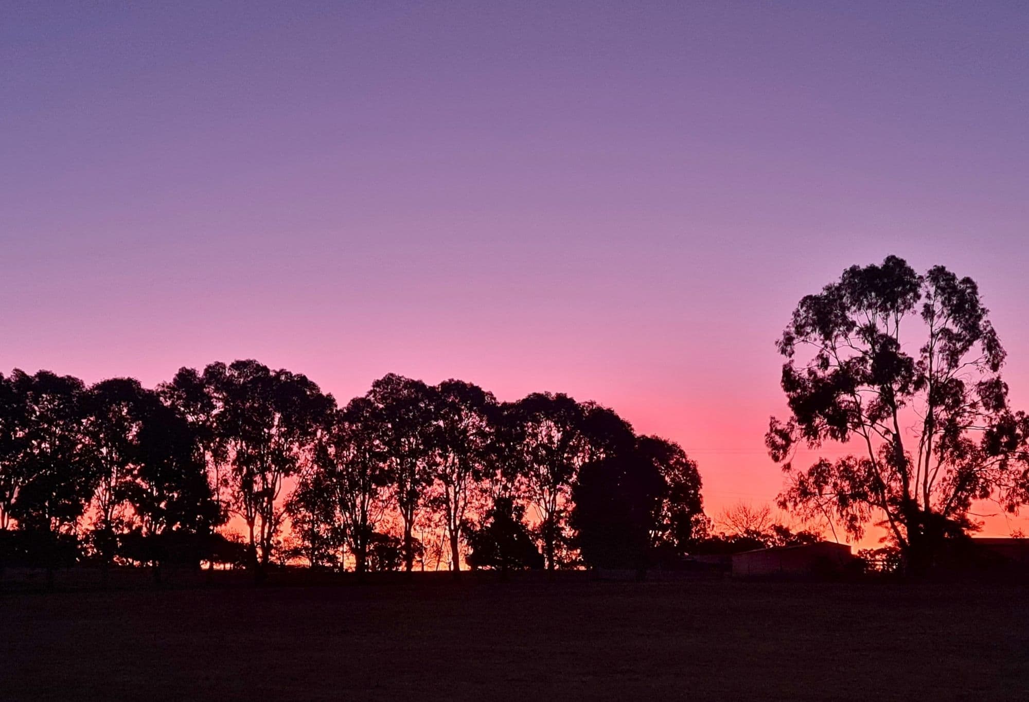 2011 Davys Plains Road, Cargo via, Orange NSW 2800, Cargo - Image 1
