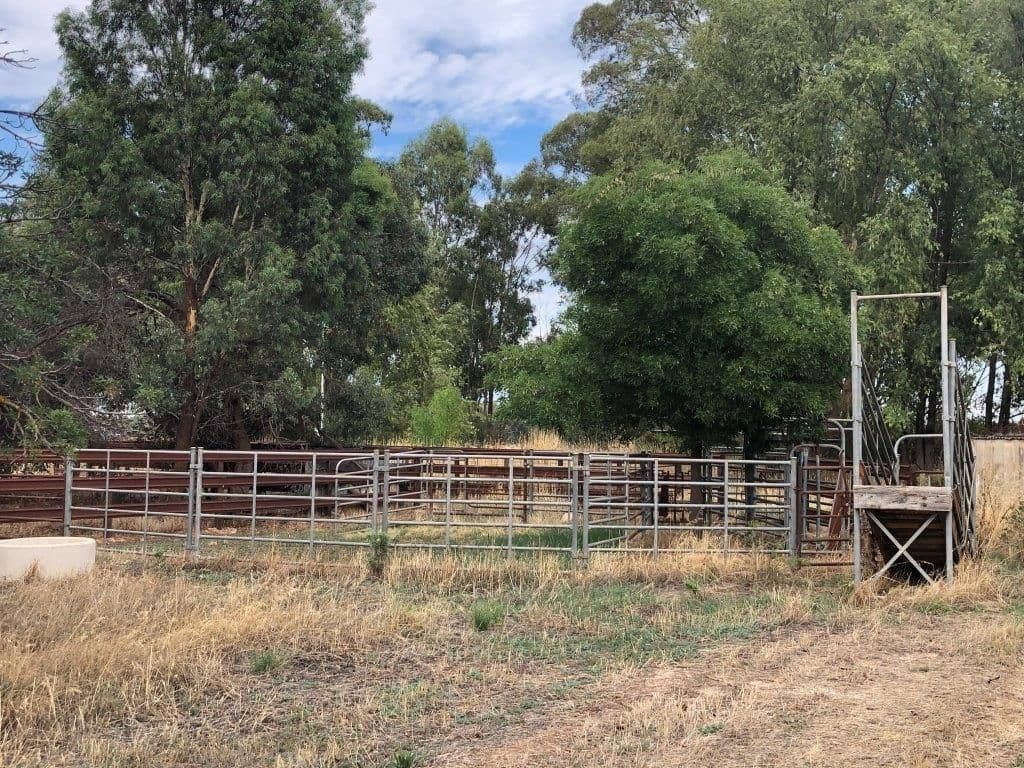 513 Mckenzie Road, Mooroopna North West VIC 3616, Mooroopna North West - Thumbnail 6