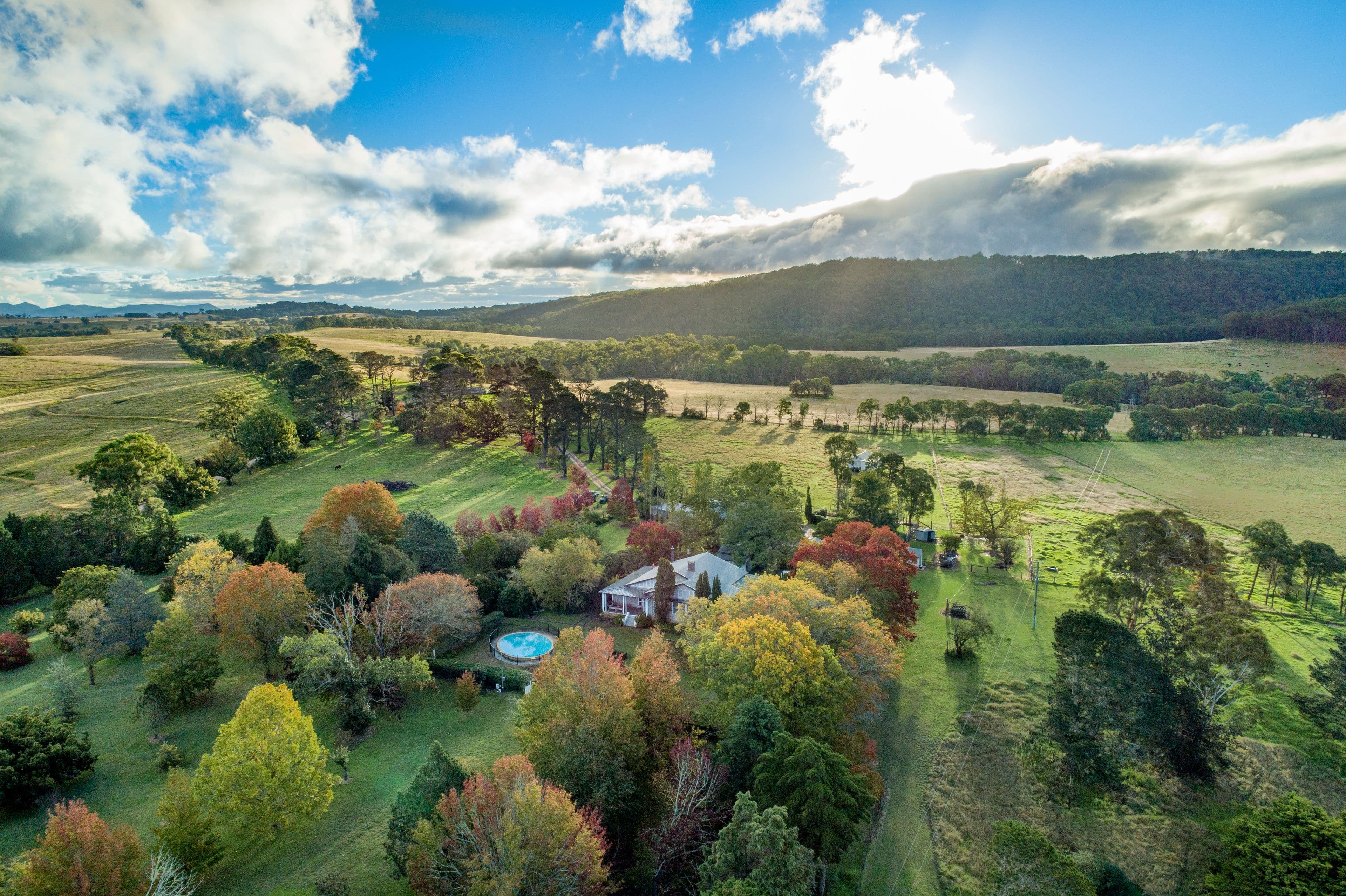 345 Black Swamp Road, Tenterfield NSW 2372, Tenterfield - Image 1