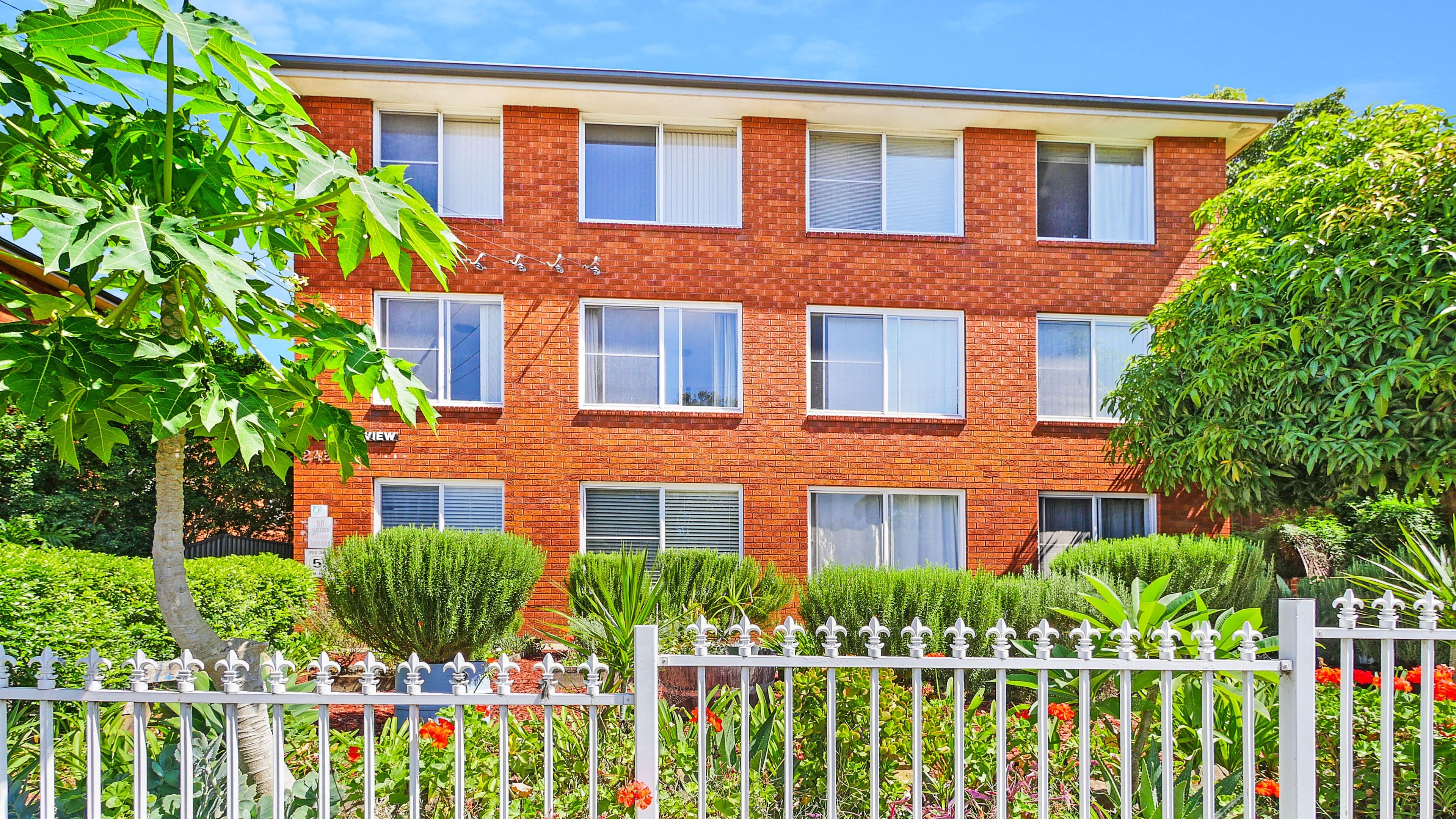 242 Buffalo Road, Ryde NSW 2112, Ryde - Thumbnail 2