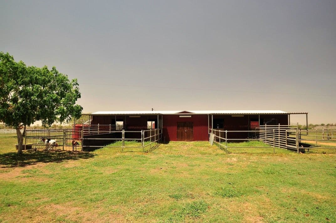 1149 Rockhampton Ridgelands Road, Alton Downs QLD 4702, Alton Downs - Thumbnail 3