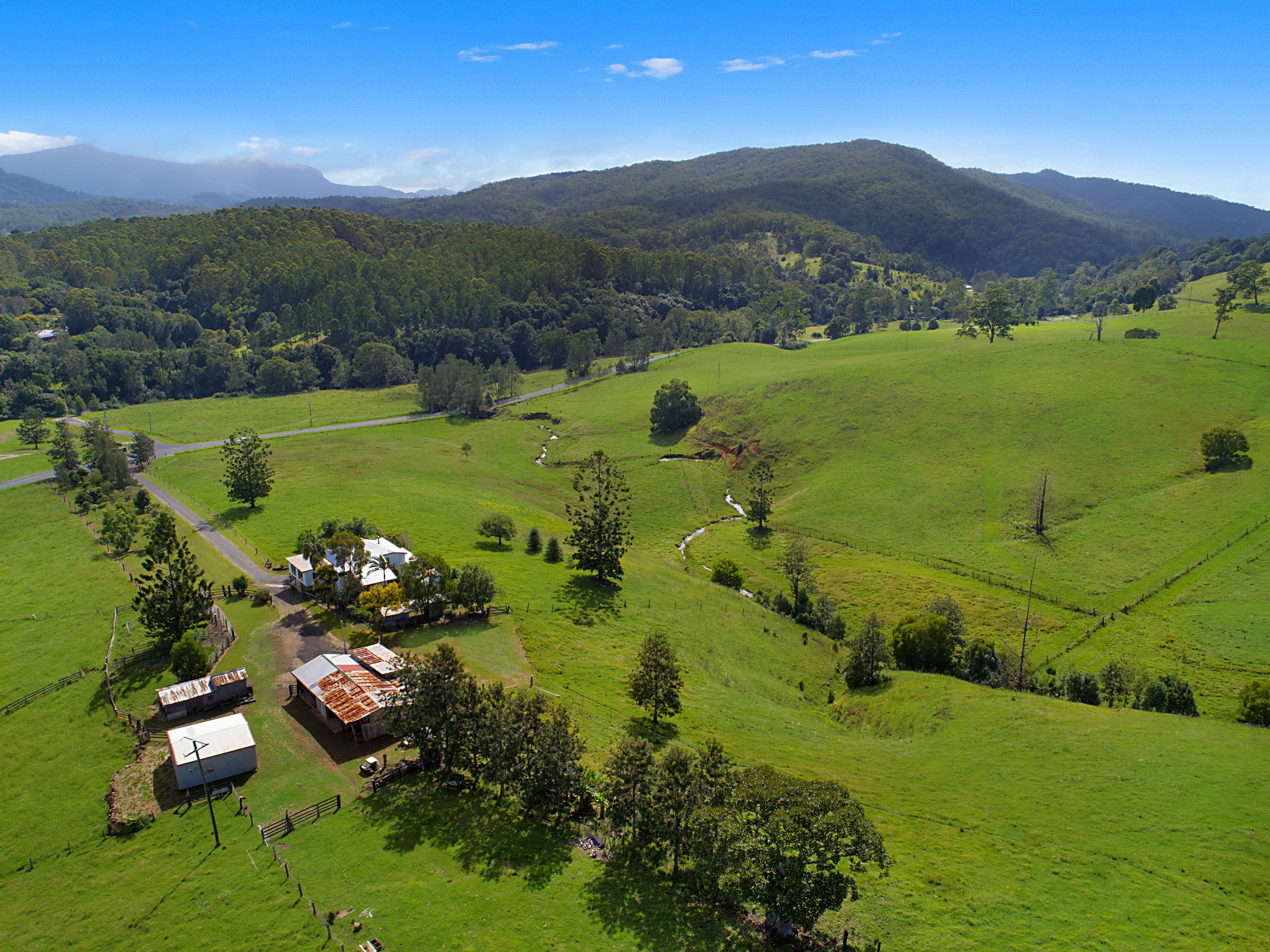 1563 Tyalgum Road, Tyalgum NSW 2484, Tyalgum - Image 1