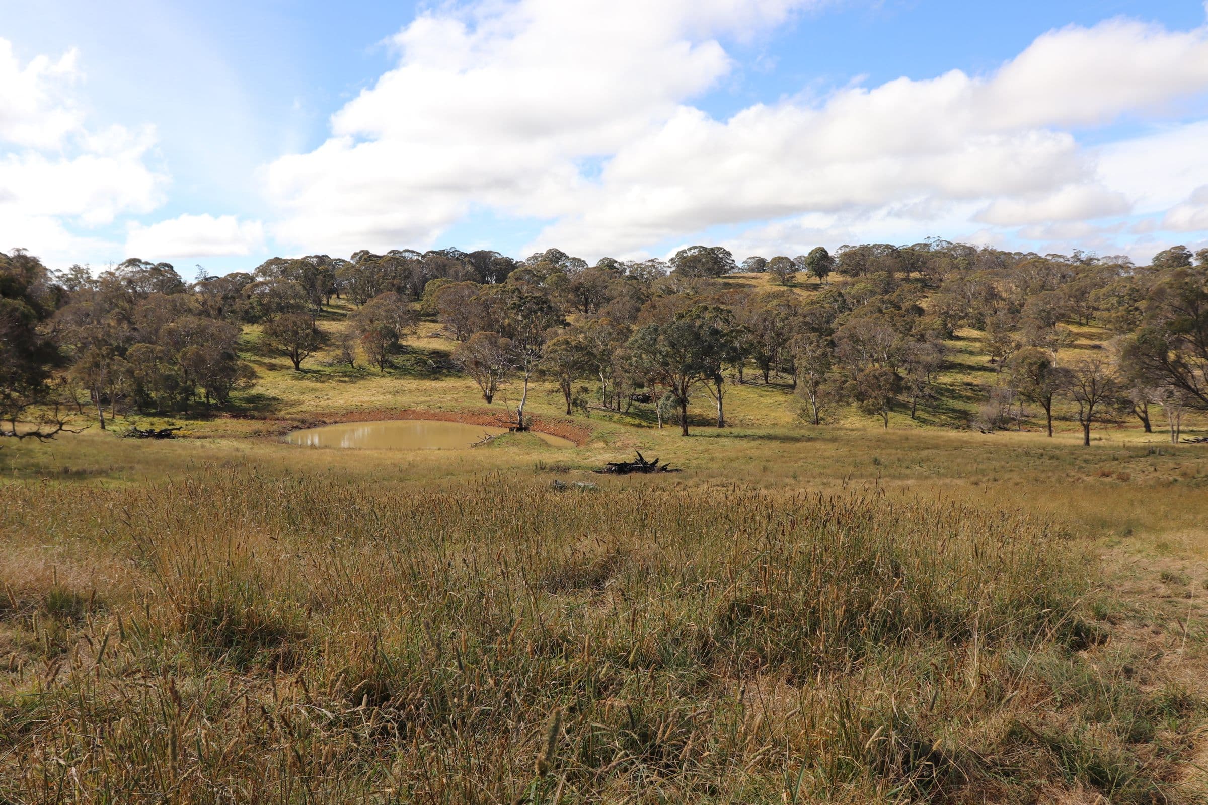 489 Inn Road, Ben Lomond NSW 2365, Ben Lomond - Image 1