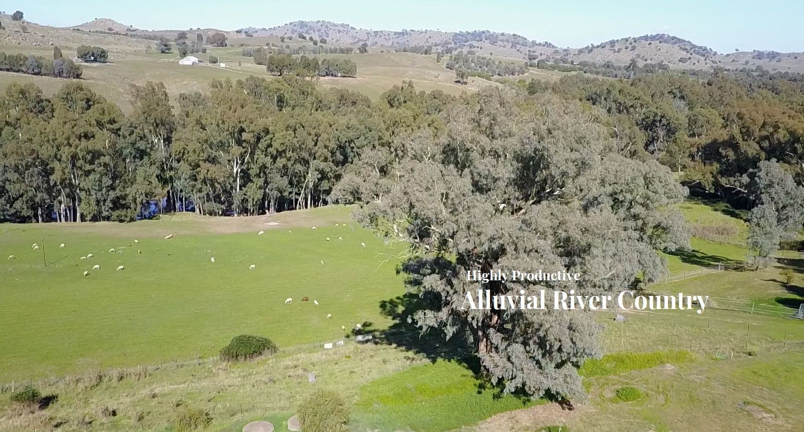 142 Clearview Road, Cowra NSW 2794, Cowra - Thumbnail 3