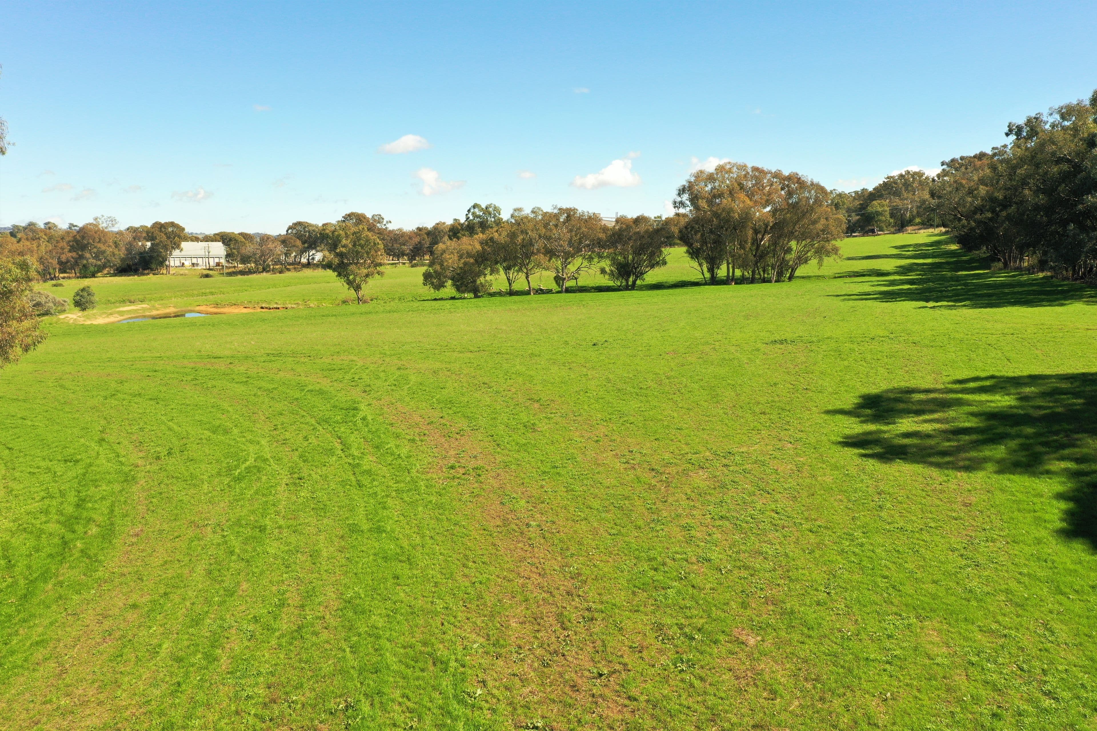 Telegraph Road, Young NSW 2594, Young - Thumbnail 3