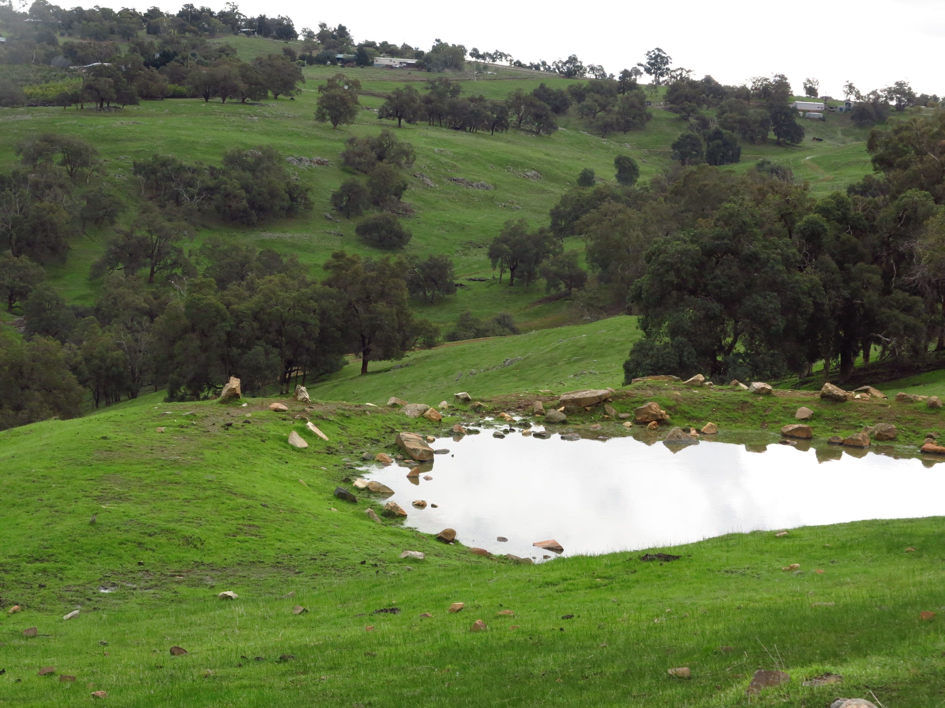 Bunderra Taylor Road, Bullsbrook WA 6084, Bullsbrook - Thumbnail 4