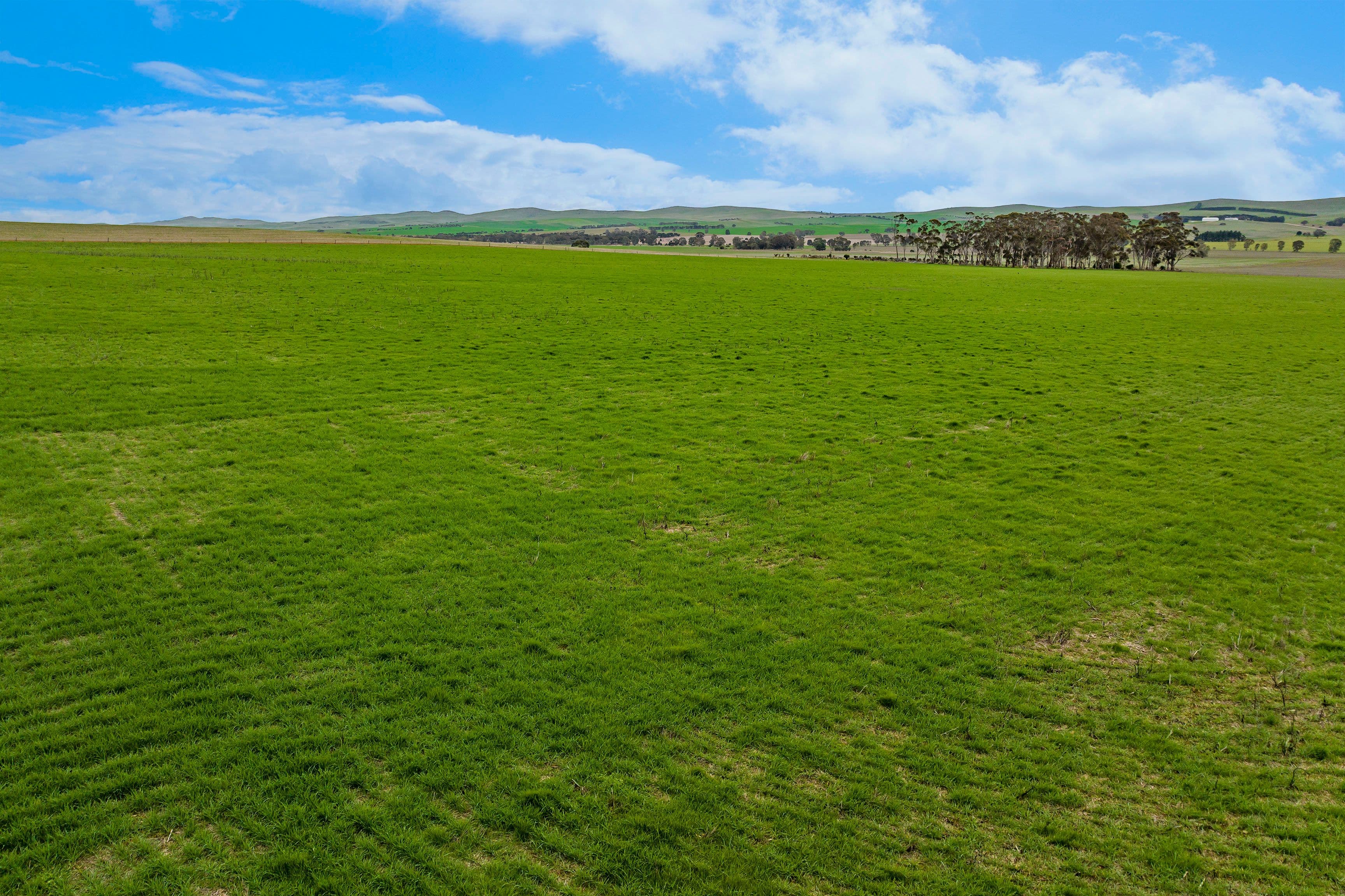 Lot 2 'East' 206 Lally Road, Hill River SA 5453, Hill River - Thumbnail 7