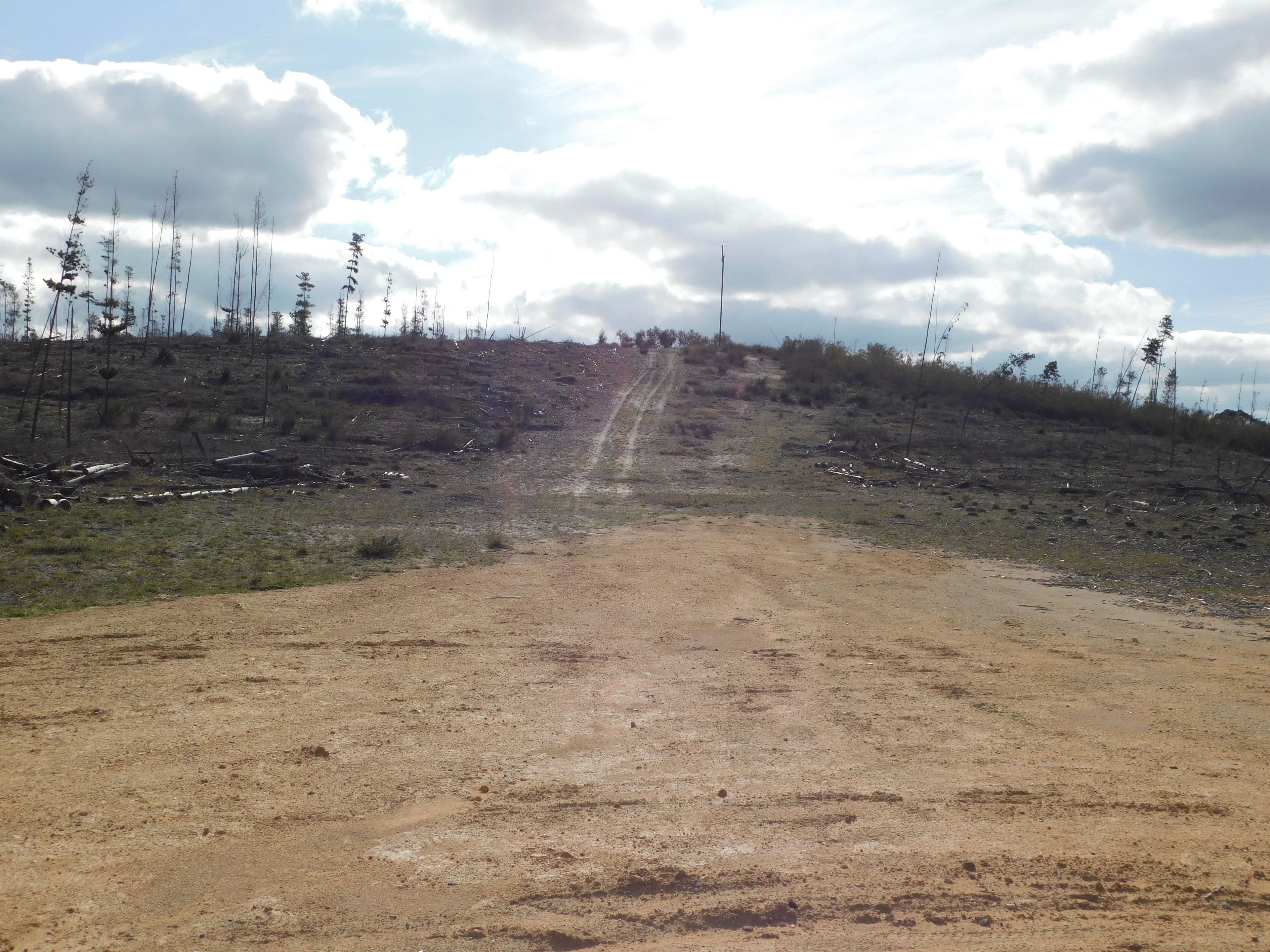 Lot 8 Bangham Road, Bangham SA 5268, Bangham - Thumbnail 7