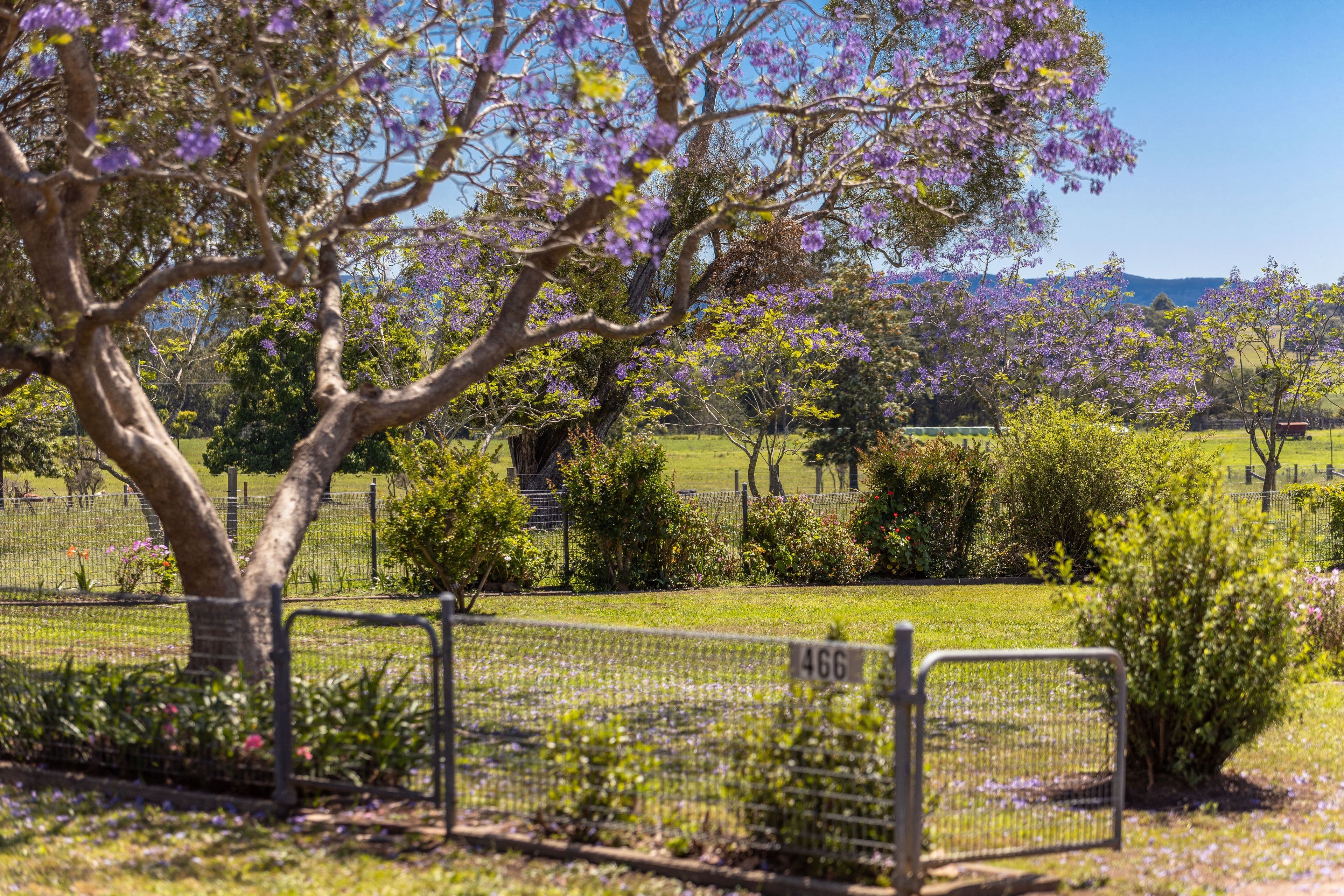 466 Comboyne Road, Wingham NSW 2429, Wingham - Thumbnail 2