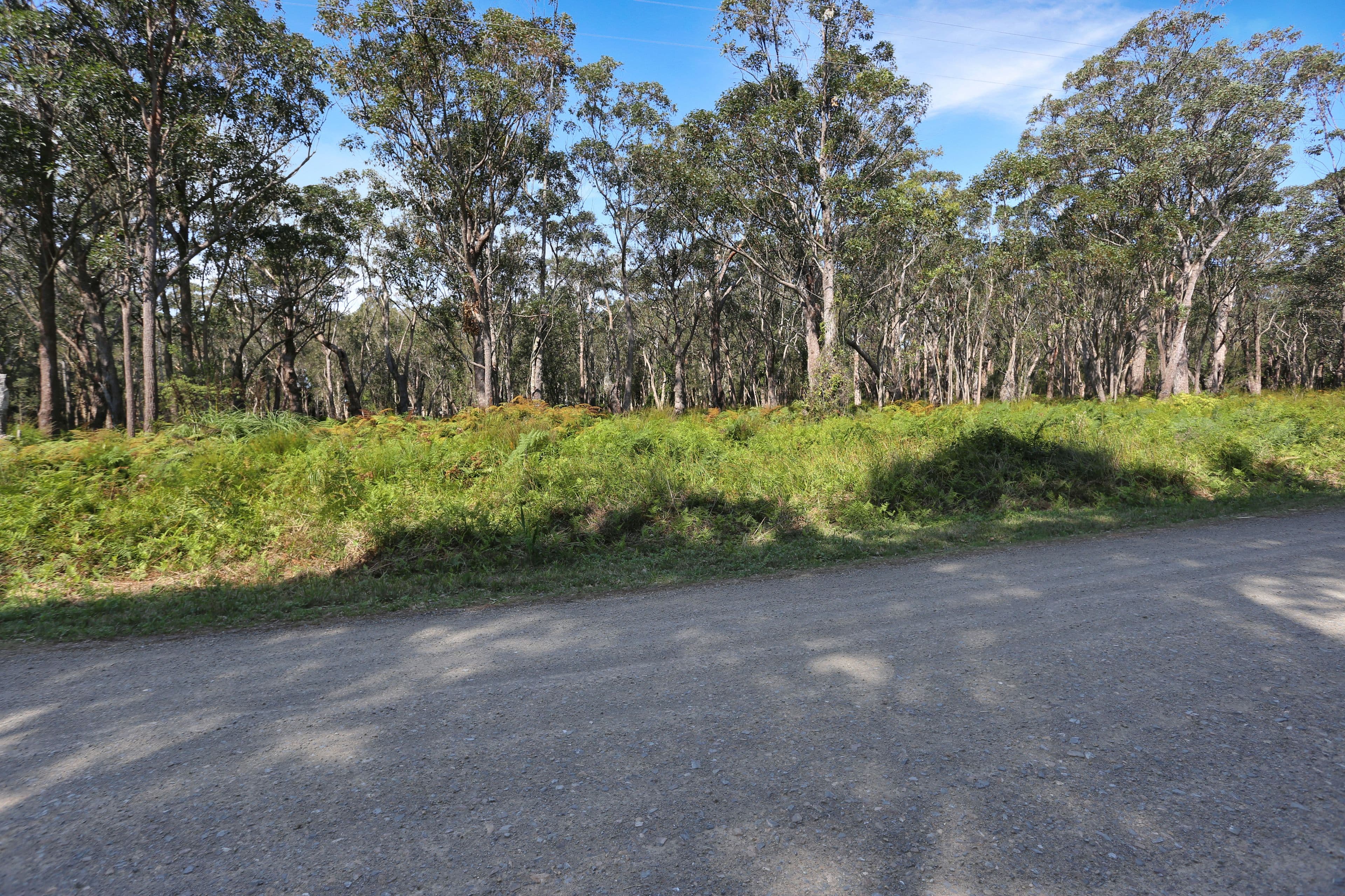 122-126 Koree Street, Pindimar NSW 2324, Pindimar - Thumbnail 5