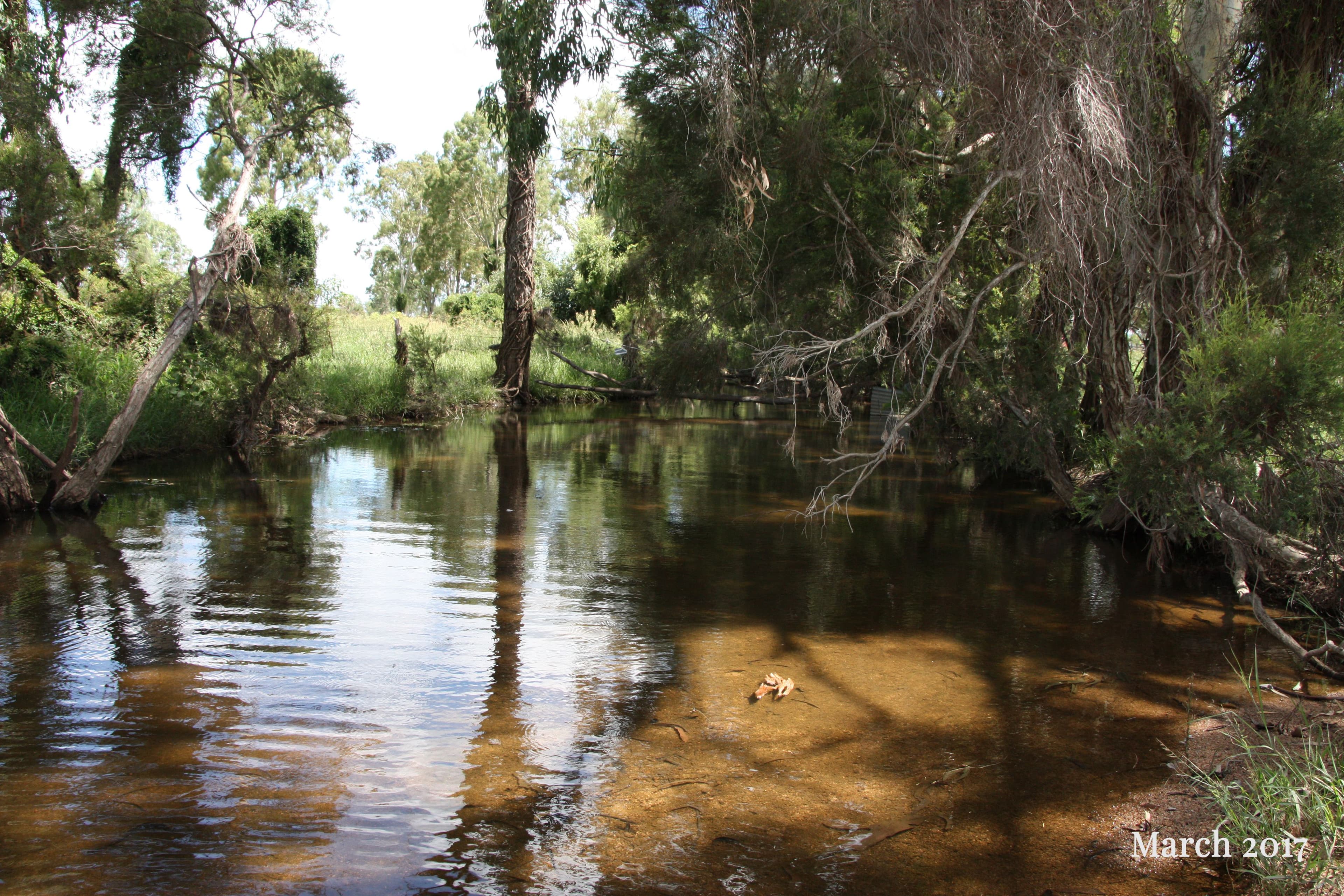 1421 Crowsdale Camboon Road, Prospect QLD 4715, Prospect - Thumbnail 6