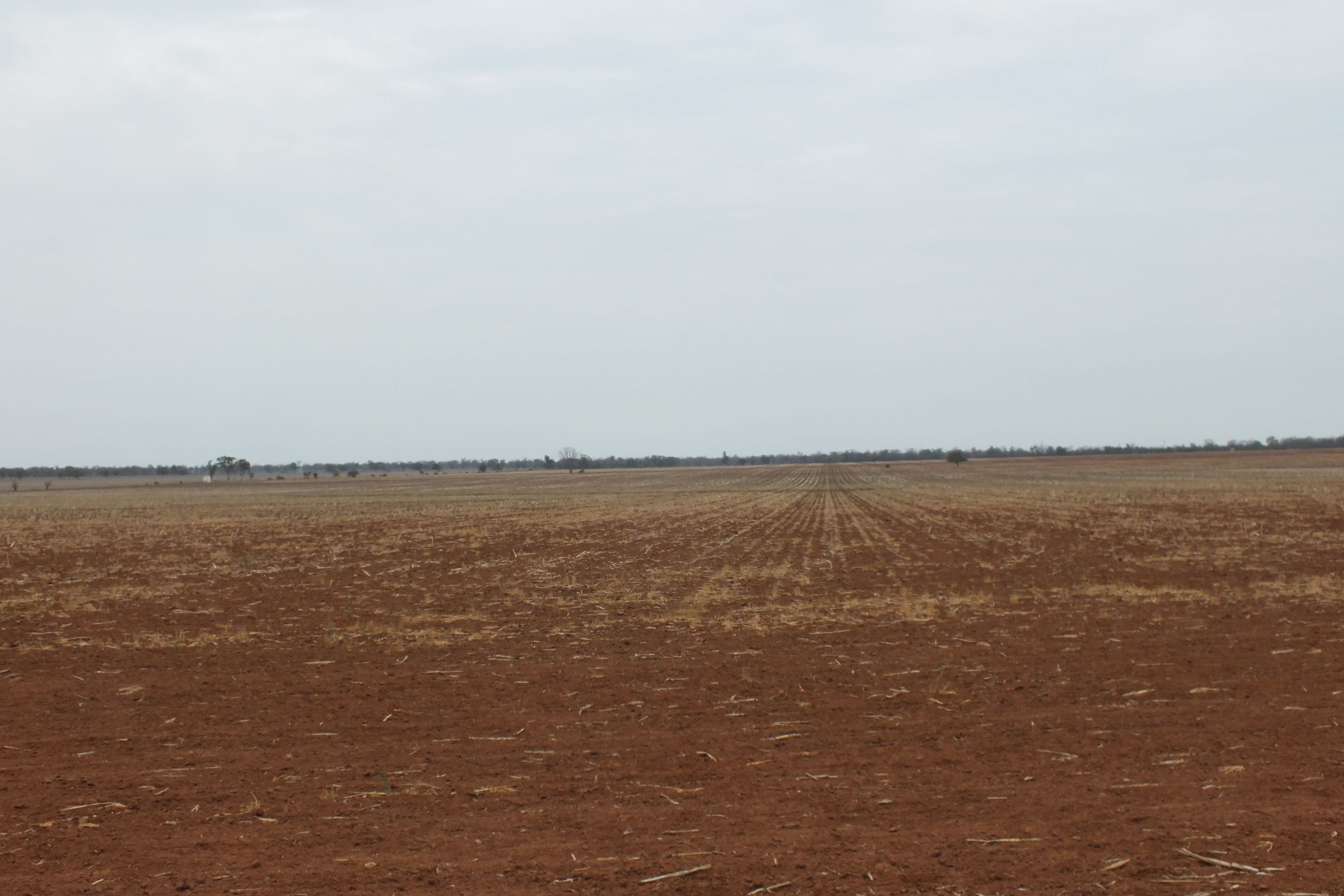 300 Milroy Road, Tulloona NSW 2400, Tulloona - Thumbnail 2