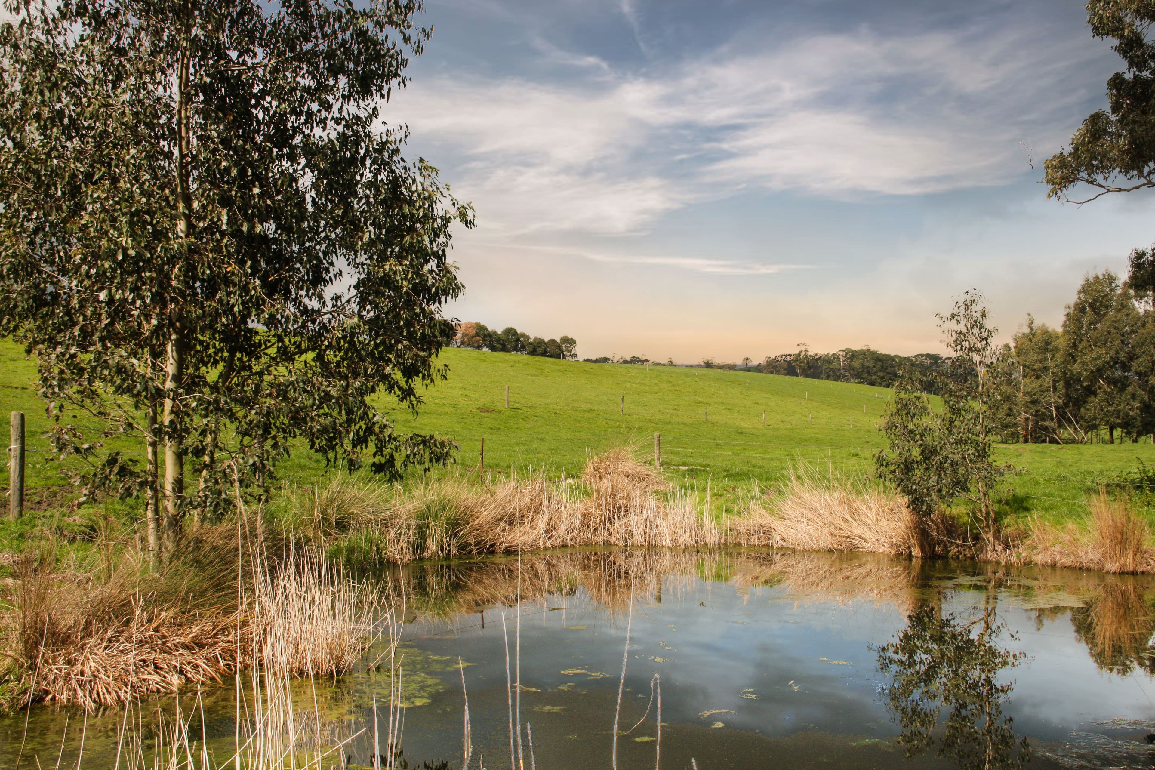 1815 Lardners Track, TORWOOD VIC 3821, Torwood - Thumbnail 8