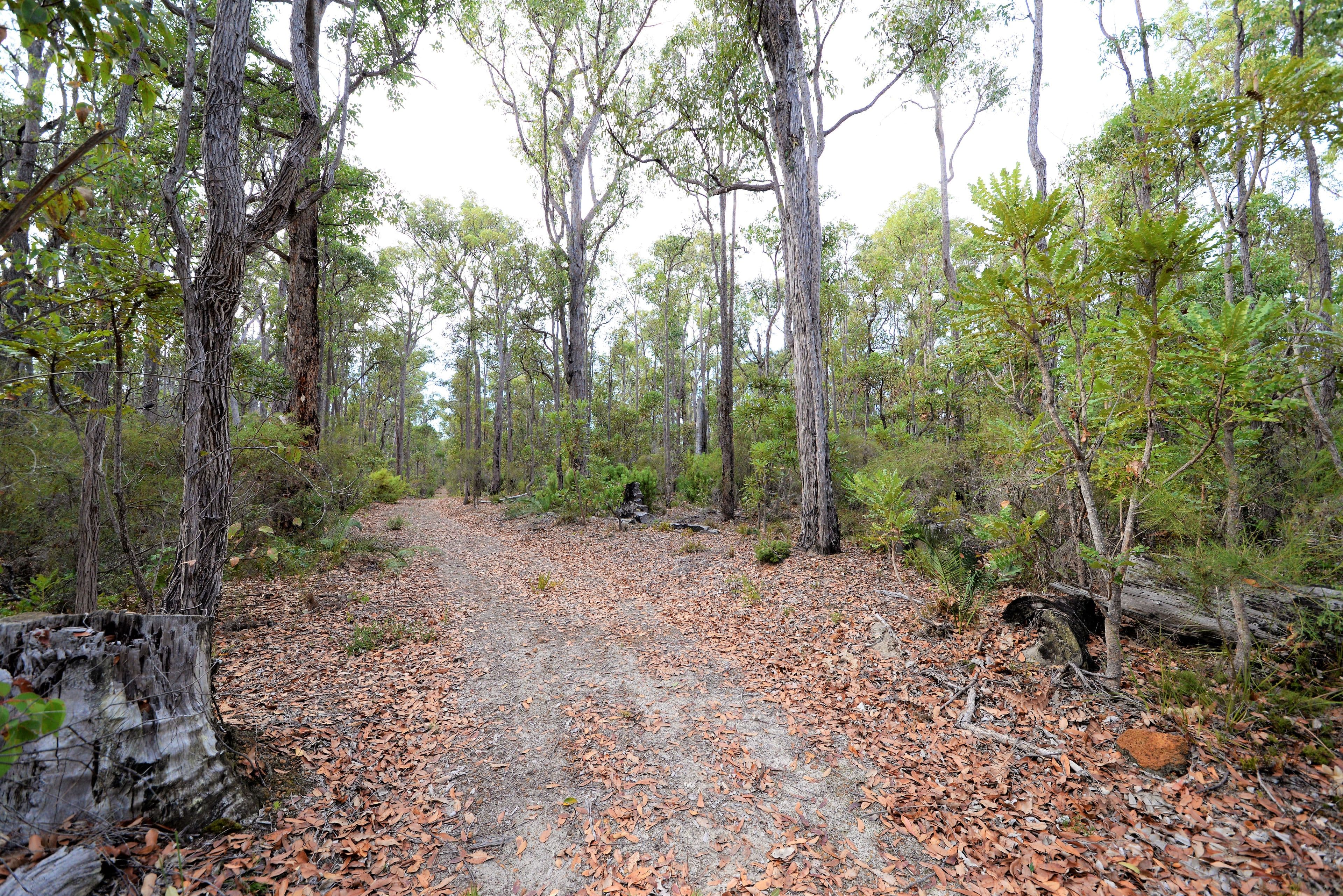 Nannup WA 6275, Nannup - Thumbnail 7