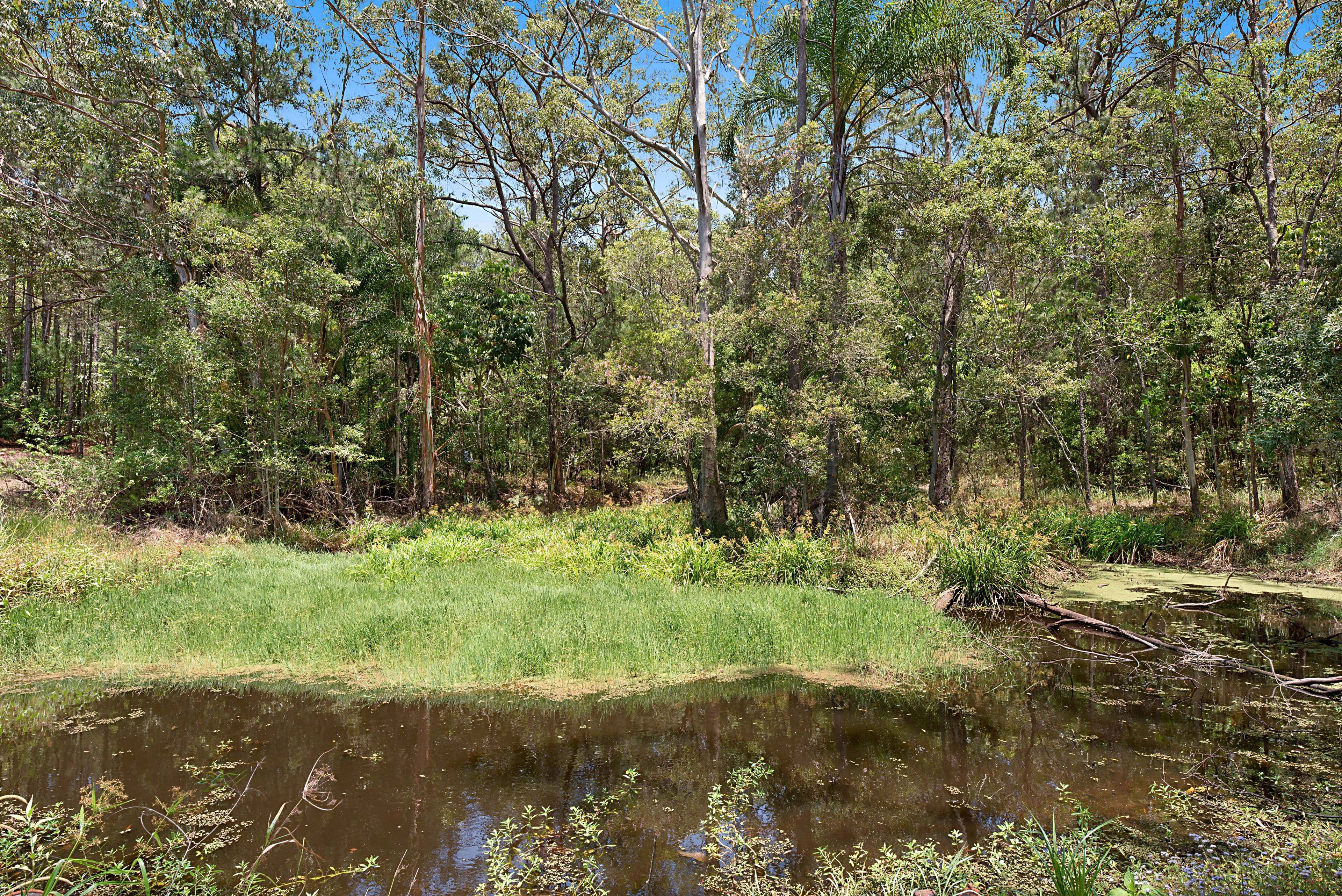 614 Yandina Bli Bli Road, Maroochy River QLD 4561, Maroochy River - Thumbnail 4