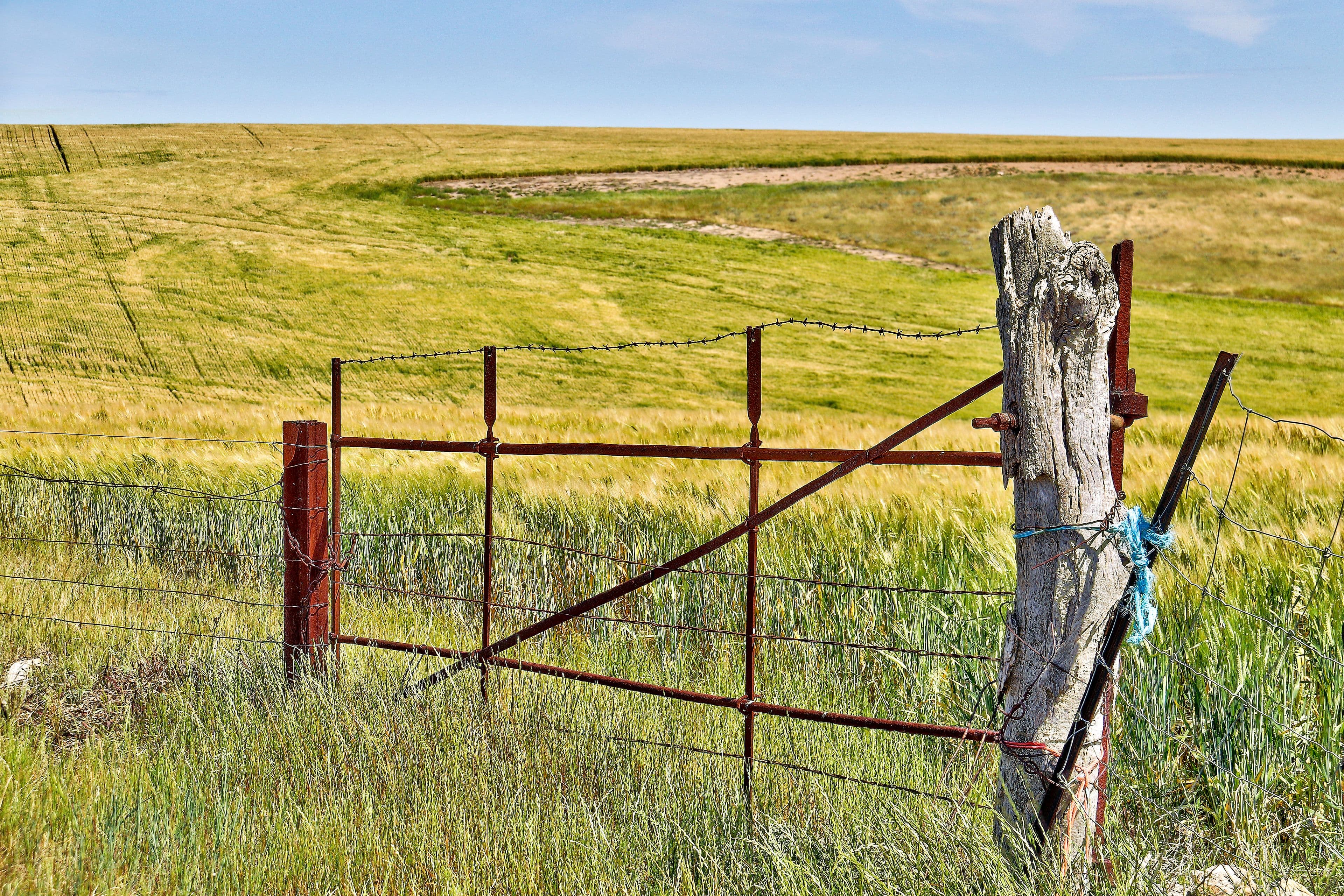 "Twin Valleys" Yacka - Andrews Road, YACKA SA 5470, Yacka - Thumbnail 4