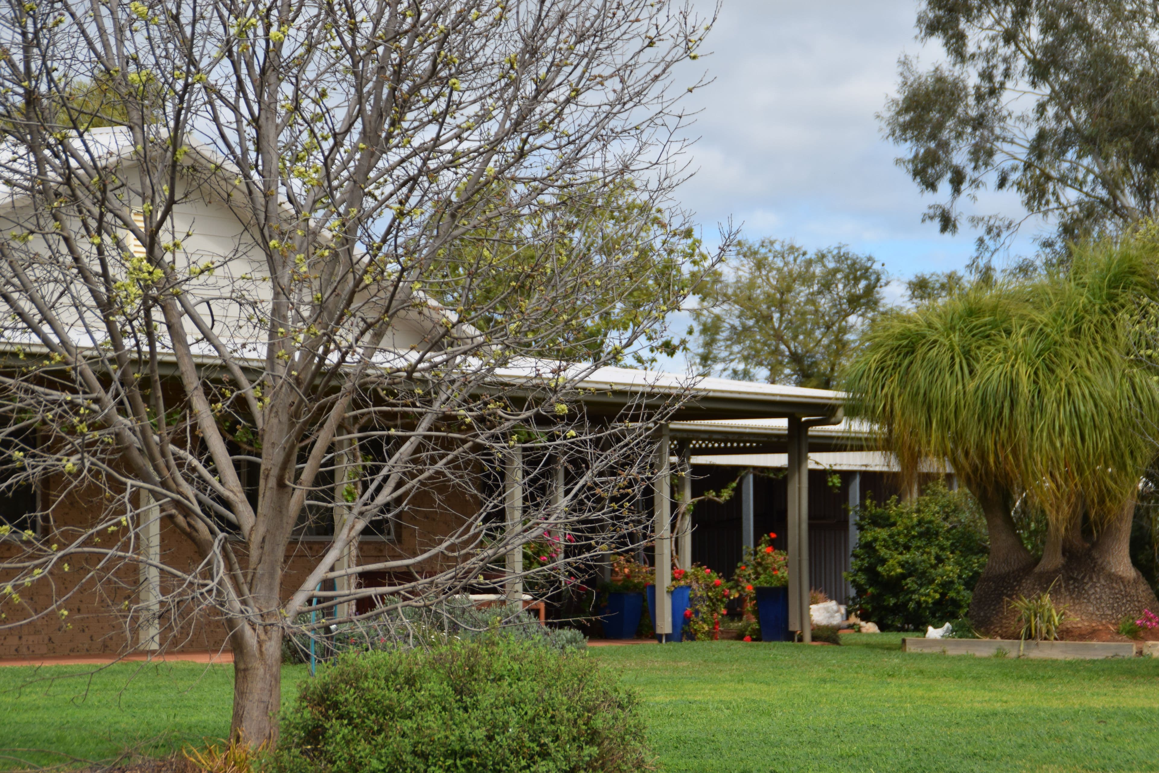 'Redbank' 102L Burraway Road, Terramungamine NSW 2830, Terramungamine - Thumbnail 2