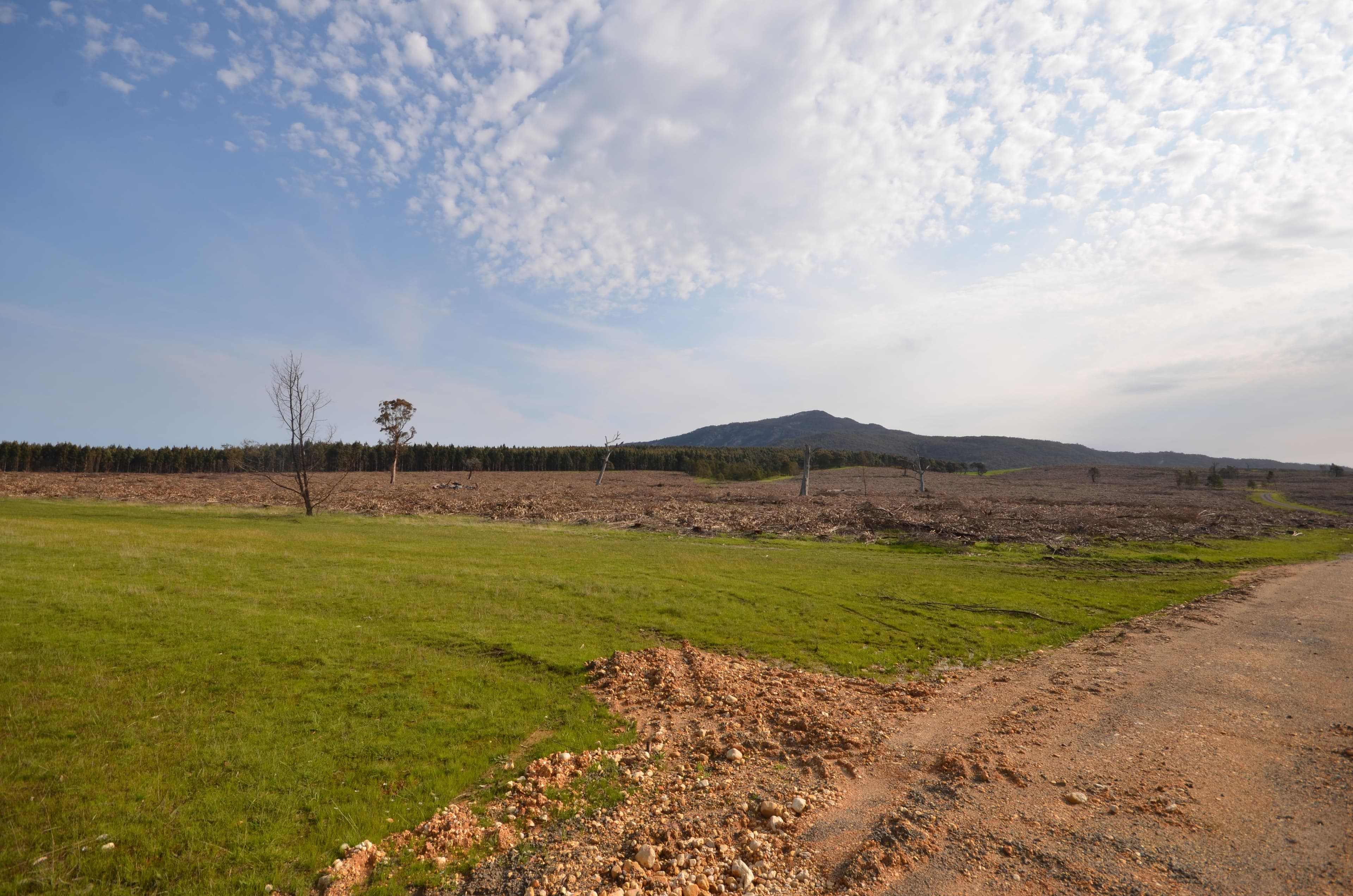 Pilgrim South Buangor - Ben Nevis Road, WARRAK VIC 3377, Warrak - Thumbnail 3