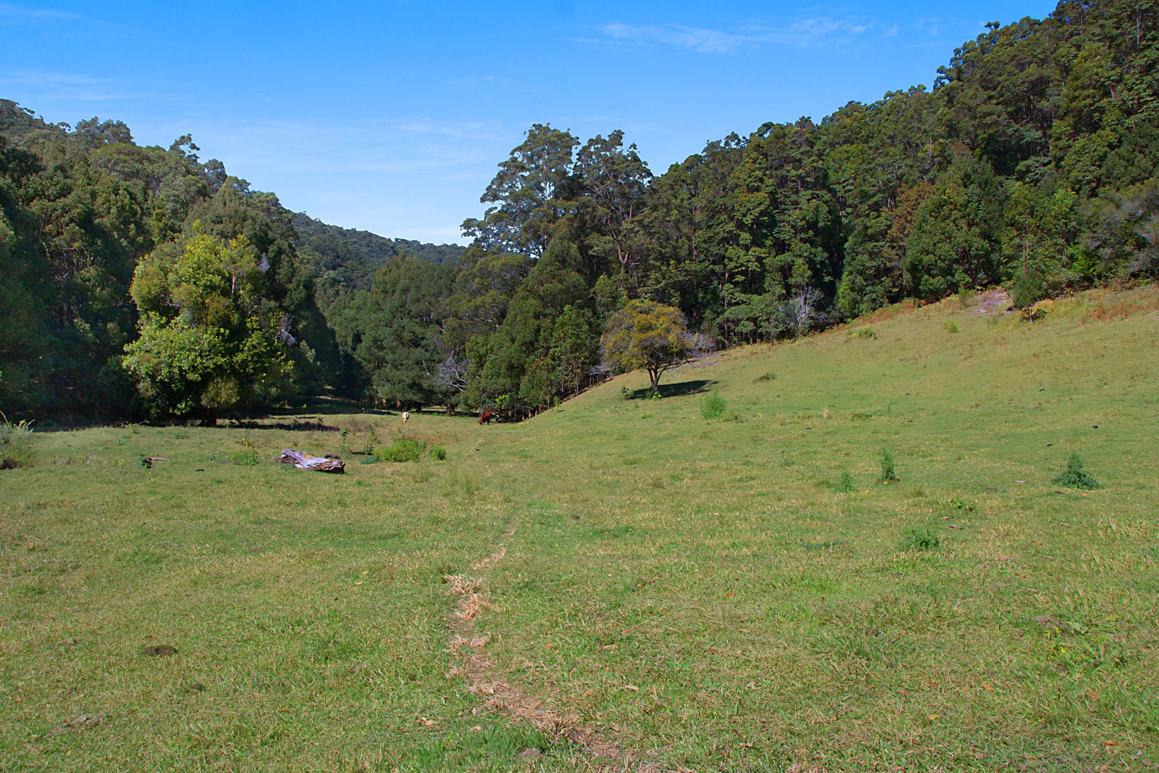 679 Urliup Road, Urliup NSW 2484, Urliup - Thumbnail 6