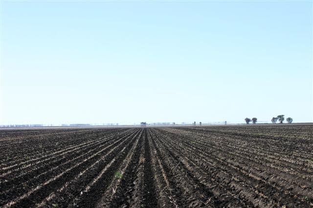 St Ruth QLD 4405, St Ruth - Thumbnail 8