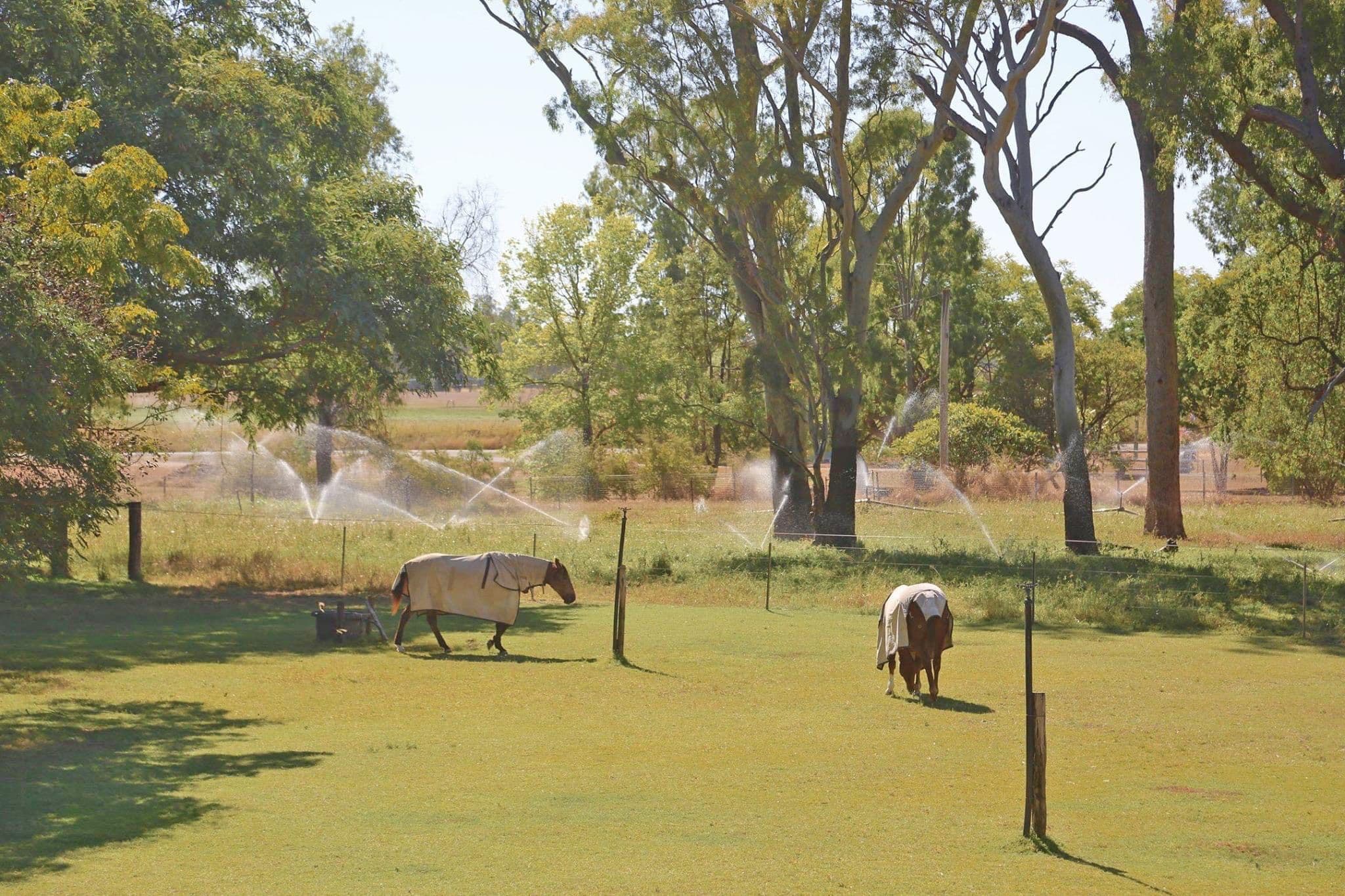 171 Saleyards Road, Kianga QLD 4718, Kianga - Thumbnail 6
