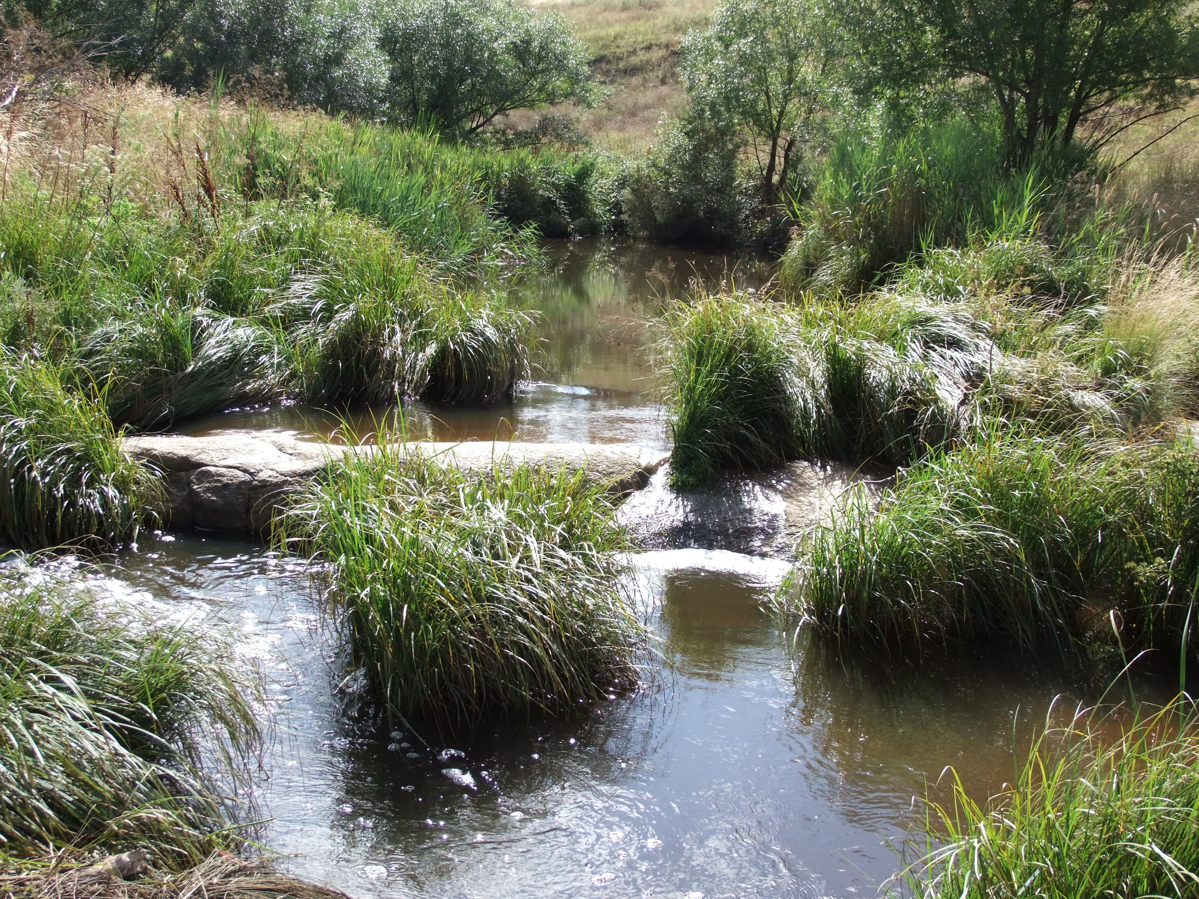 Tarana NSW 2787, Tarana - Thumbnail 2