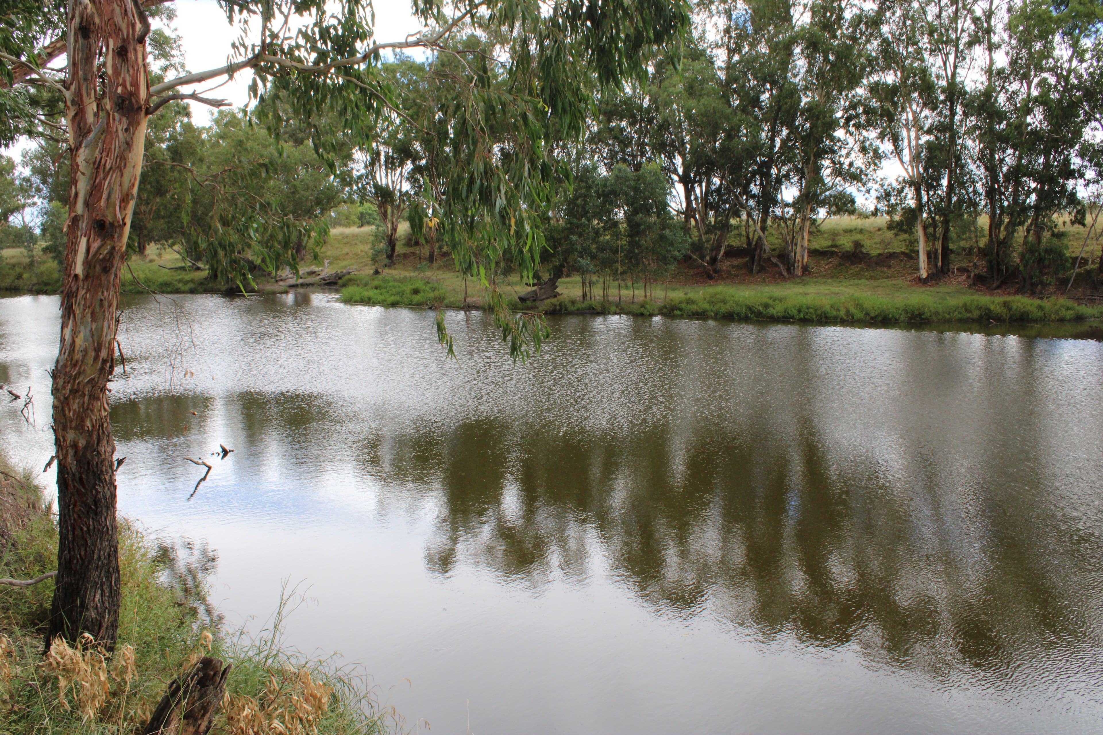 Inverell NSW 2360, Inverell - Thumbnail 2