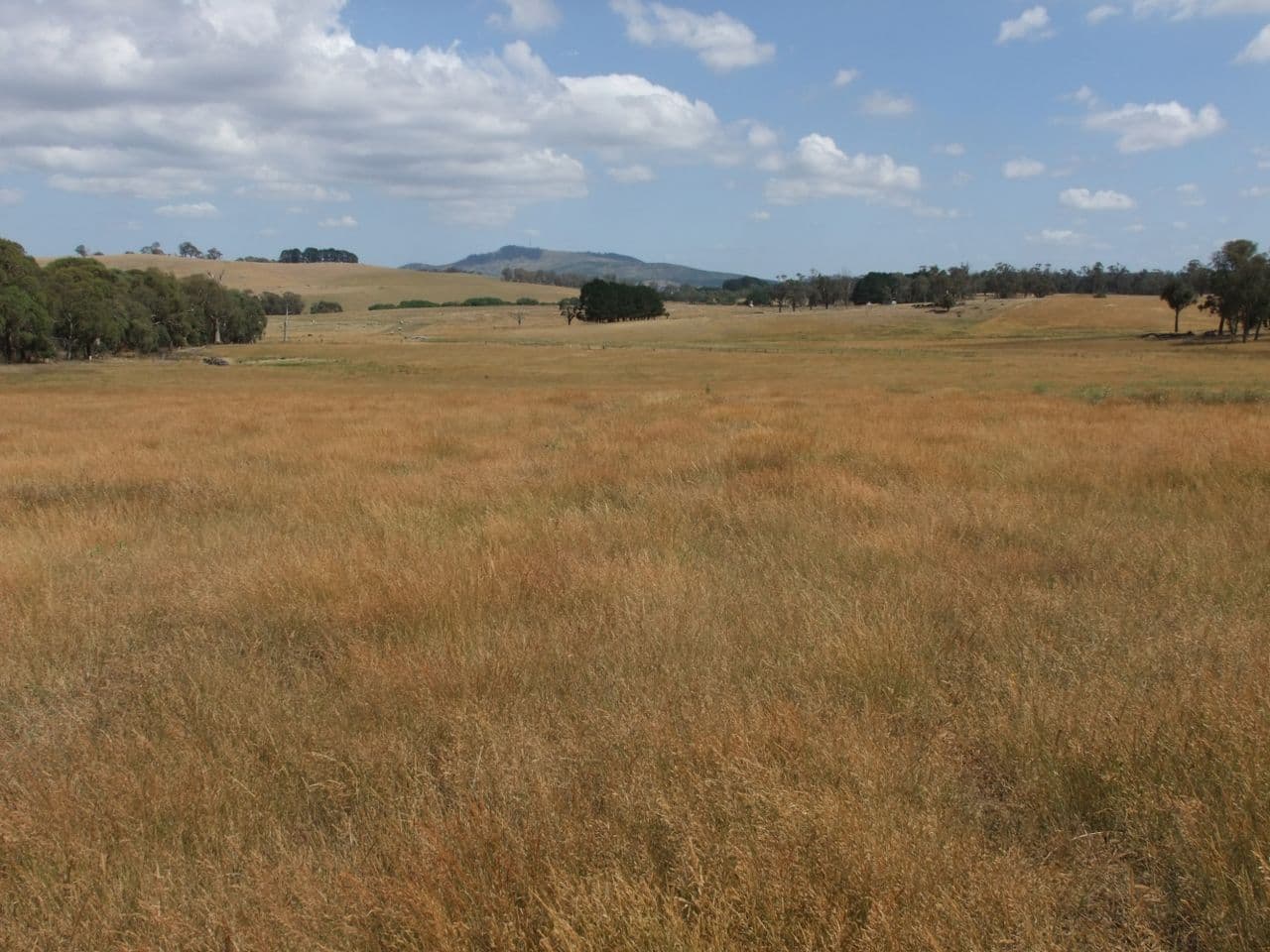 Neville NSW 2799, Neville - Thumbnail 3