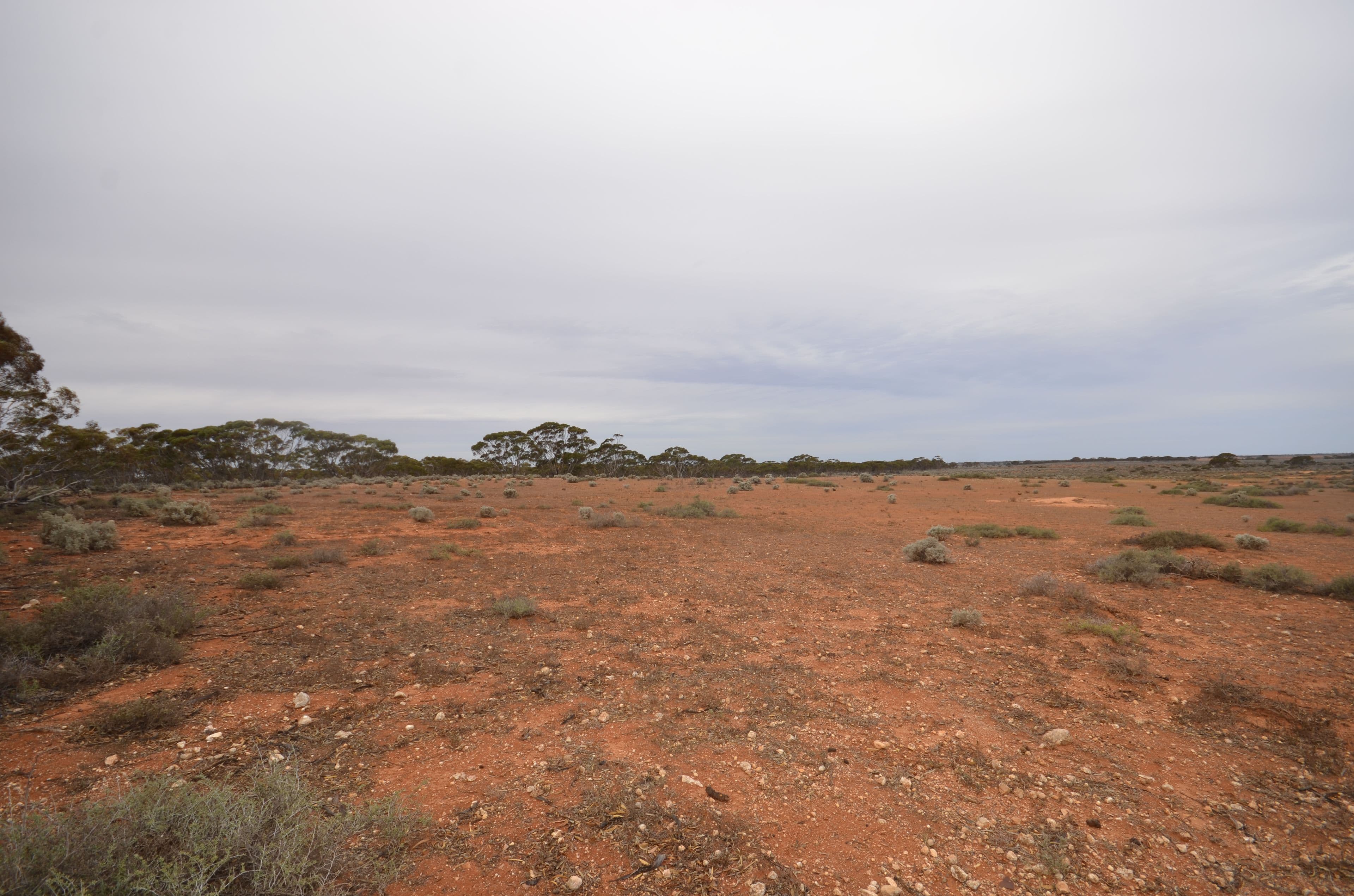 Lot 28 Dreckow Road, Bower SA 5374, Bower - Thumbnail 7