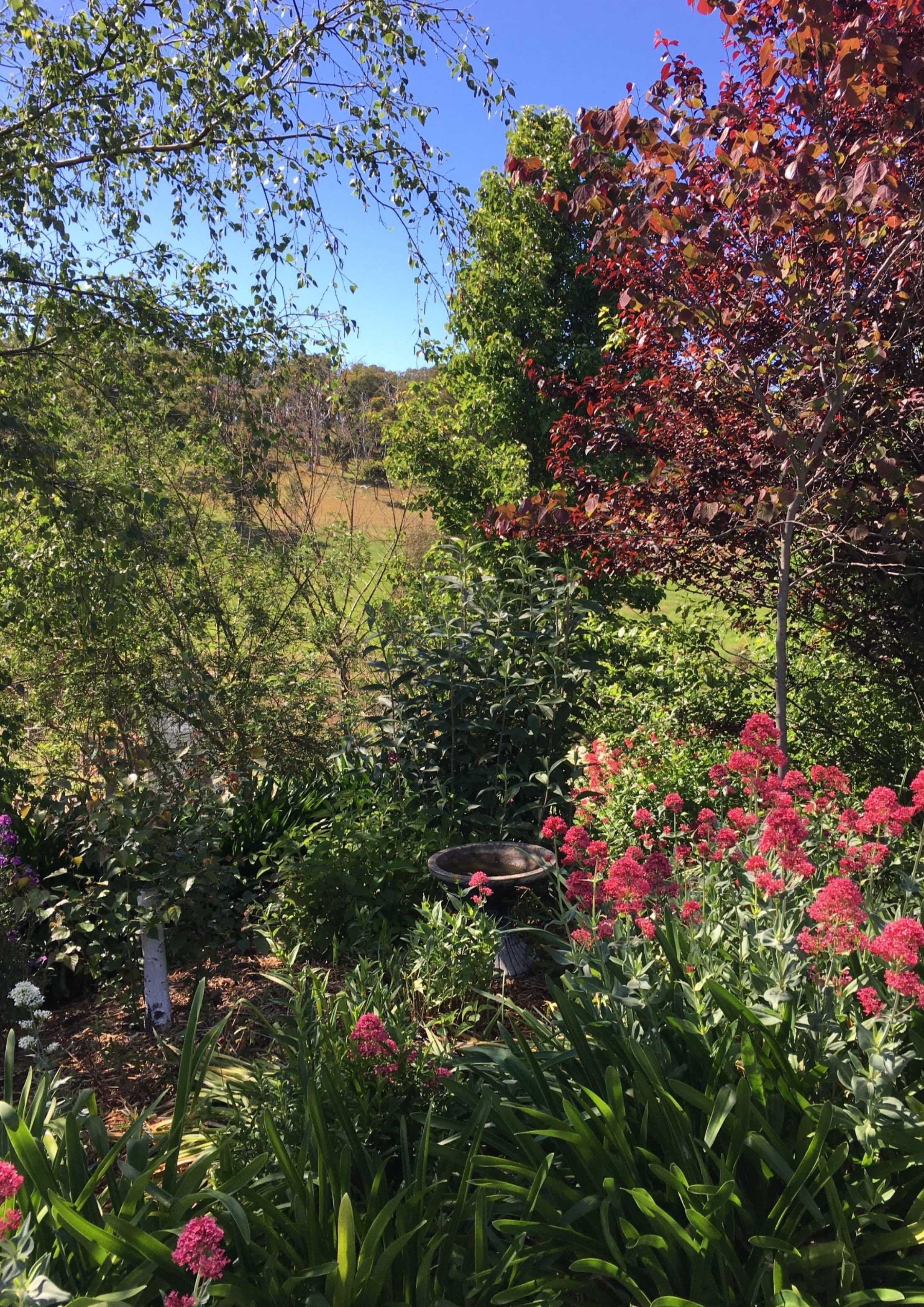 81 Totness Road, Hahndorf SA 5245, Hahndorf - Thumbnail 4