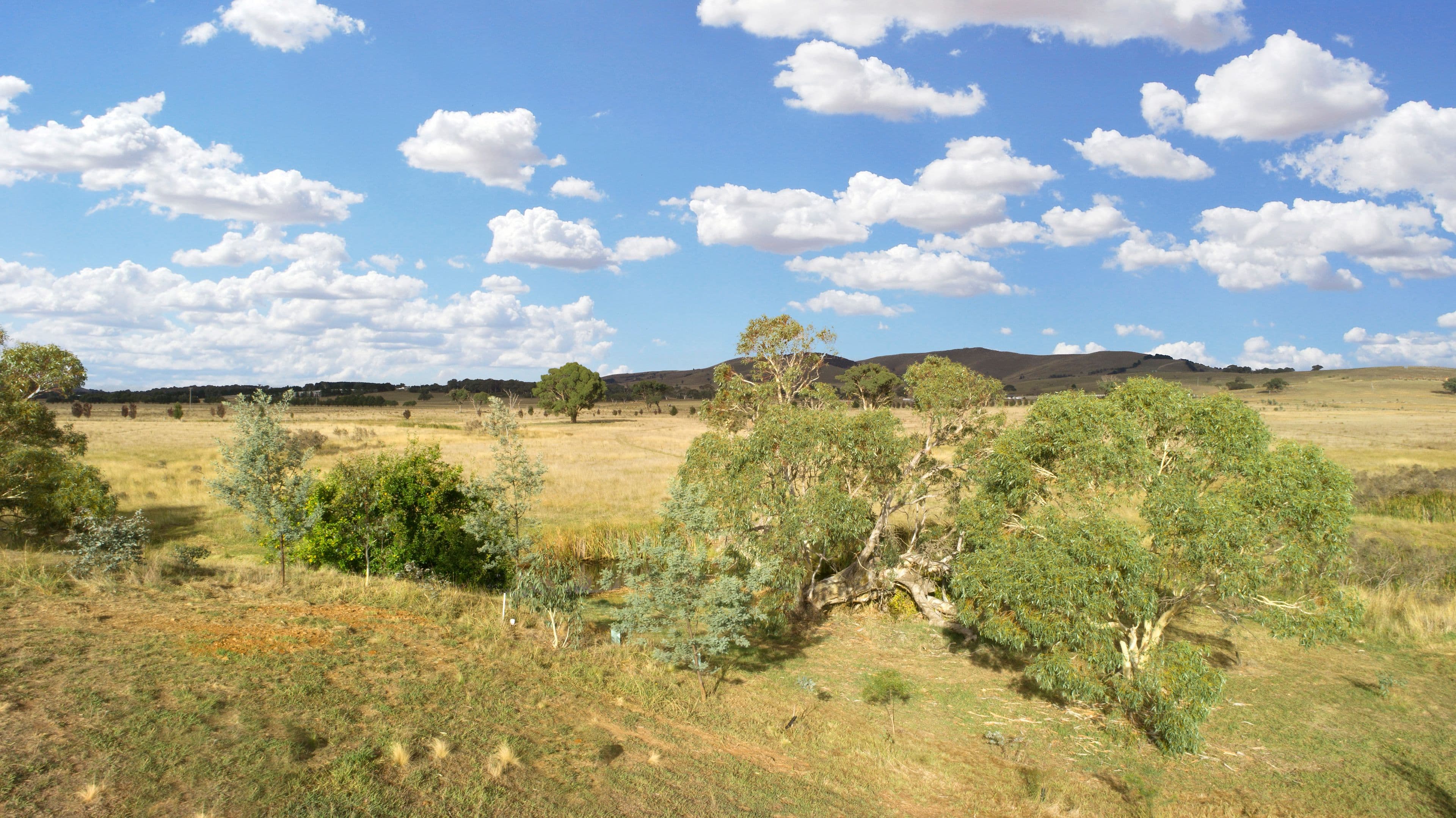 Lot 2, 72 Birril Close, Springrange NSW 2618, Springrange - Thumbnail 8