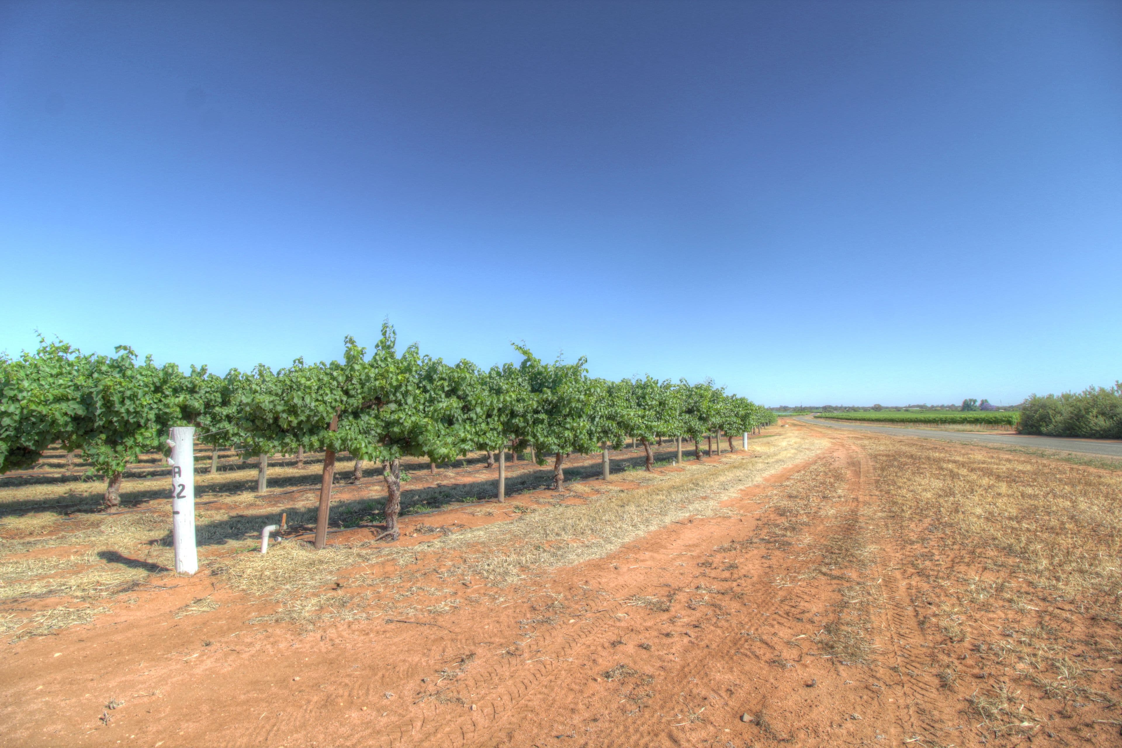 Lots 10,11,50 Eastern Road, Monash SA 5342, Monash - Thumbnail 8