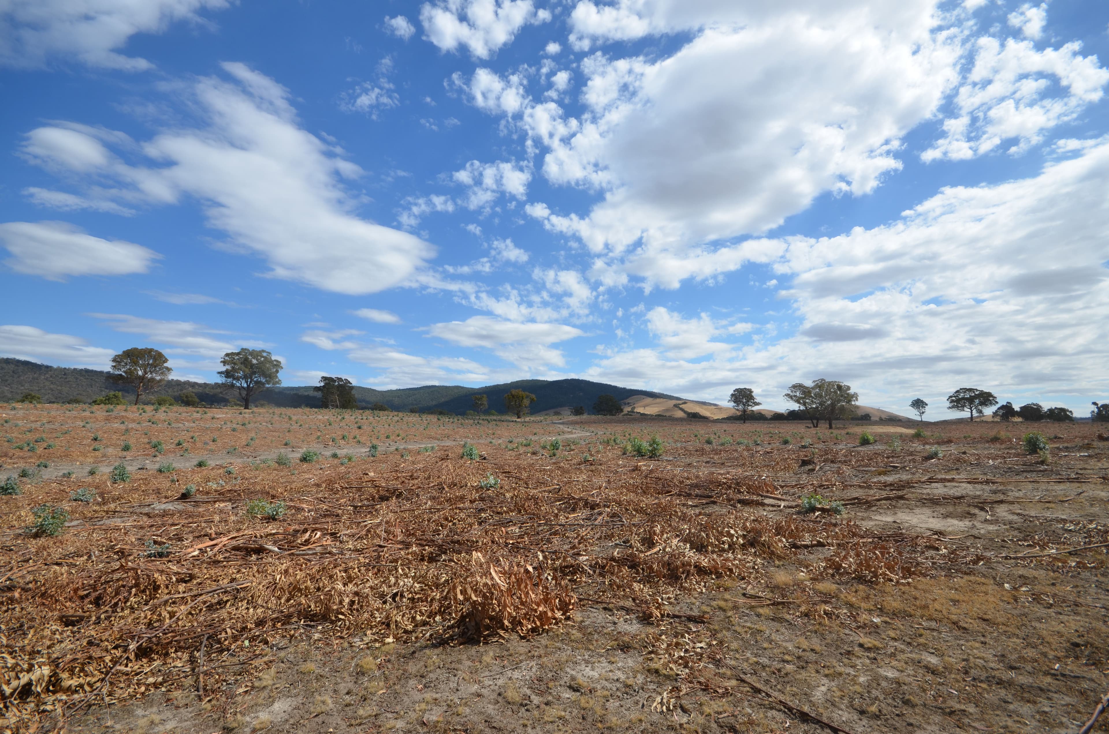"Darbyshire" Hickman Creek Road, Glenlogie VIC 3469, Glenlogie - Thumbnail 8