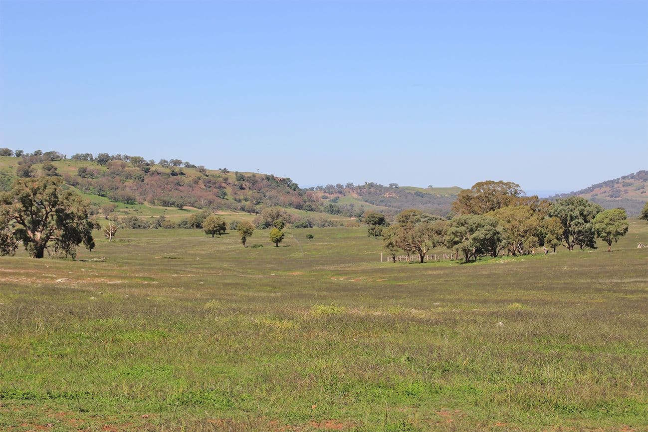 ' LUMEAH', COONABARABRAN NSW 2357, Coonabarabran - Image 1