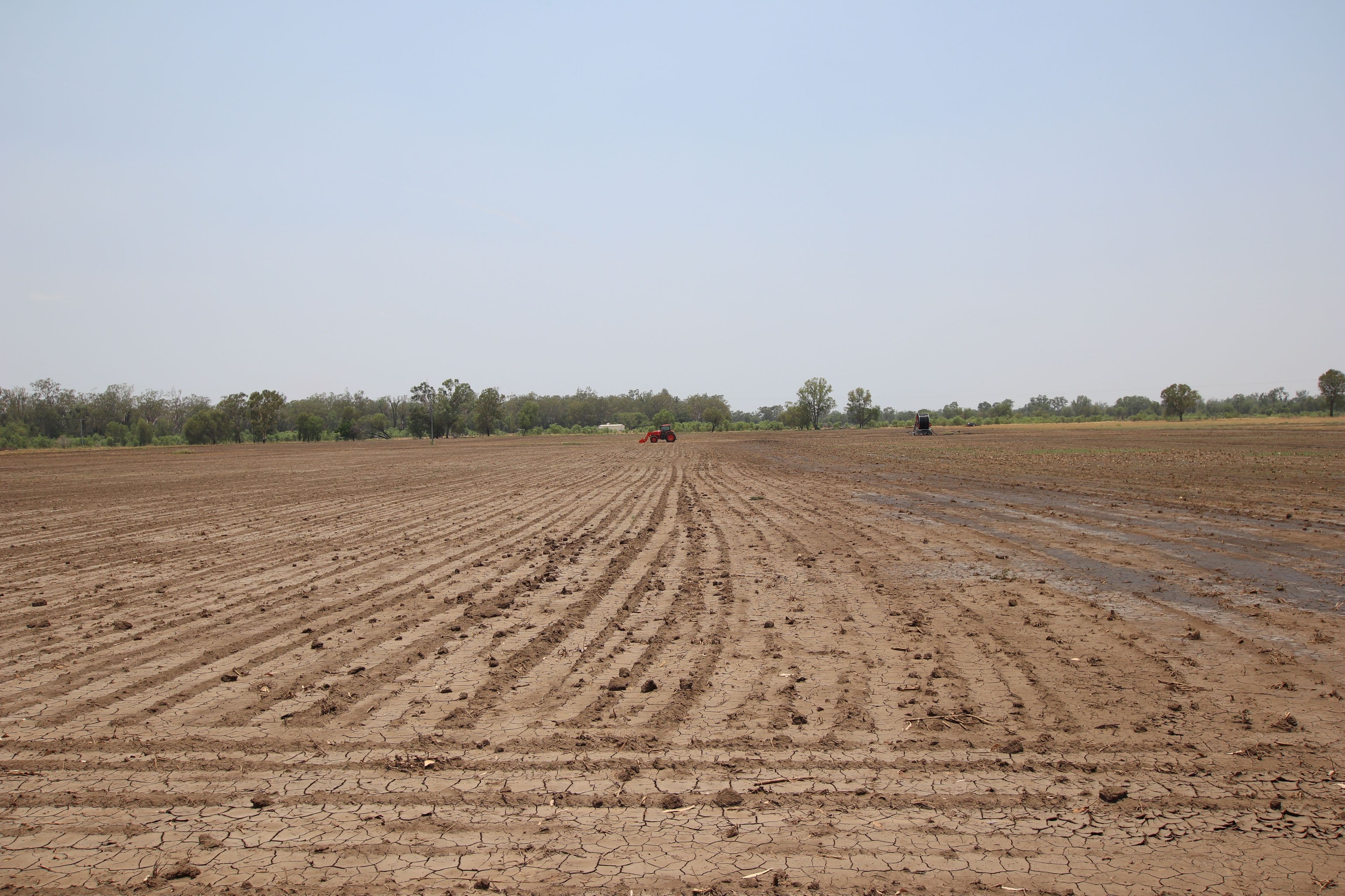 Goovigen QLD 4702, Goovigen - Thumbnail 7