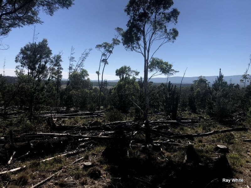 Lot 94 Back Creek Road, Braidwood NSW 2622, Braidwood - Thumbnail 3